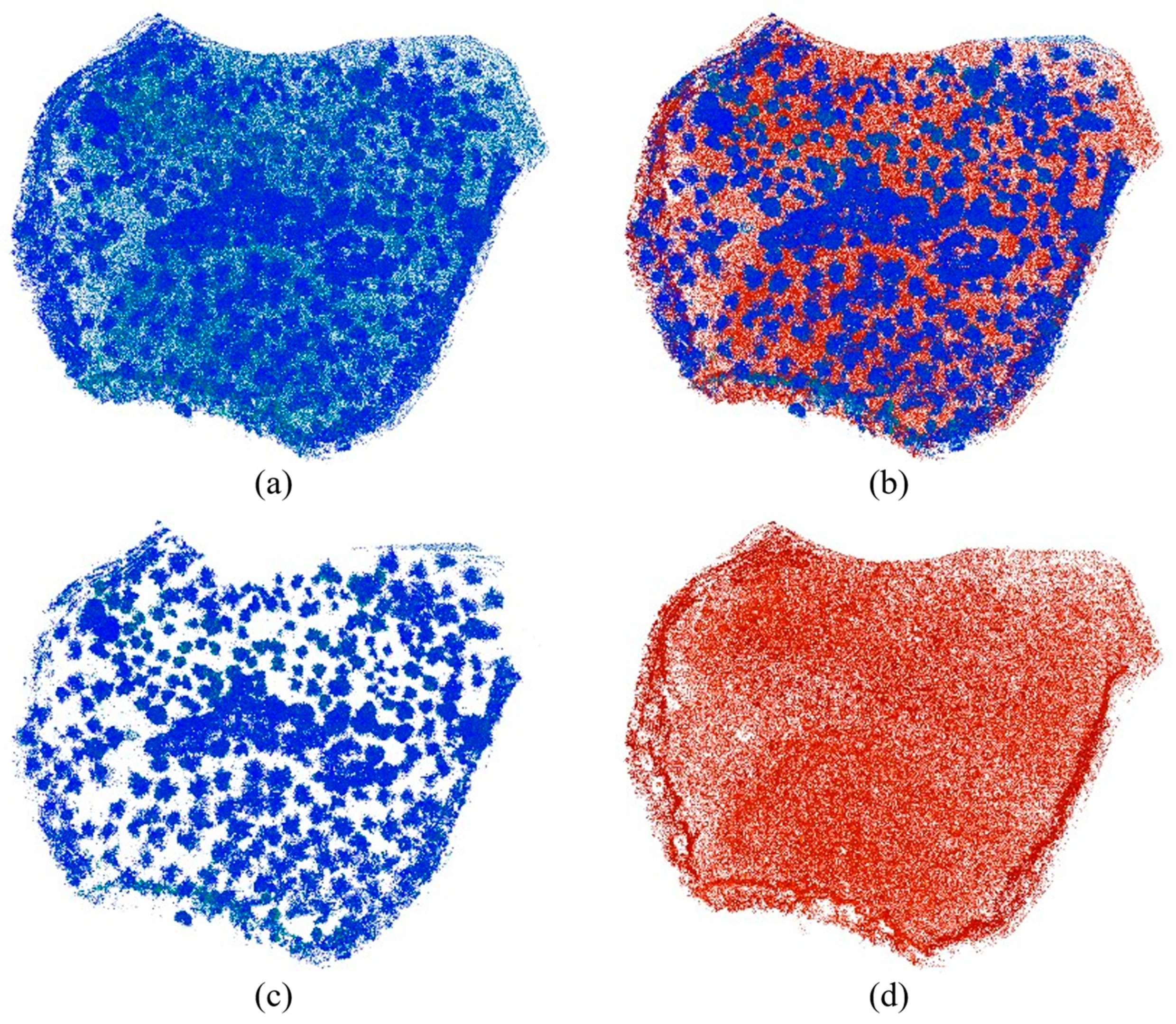 Forests 15 00136 g003
