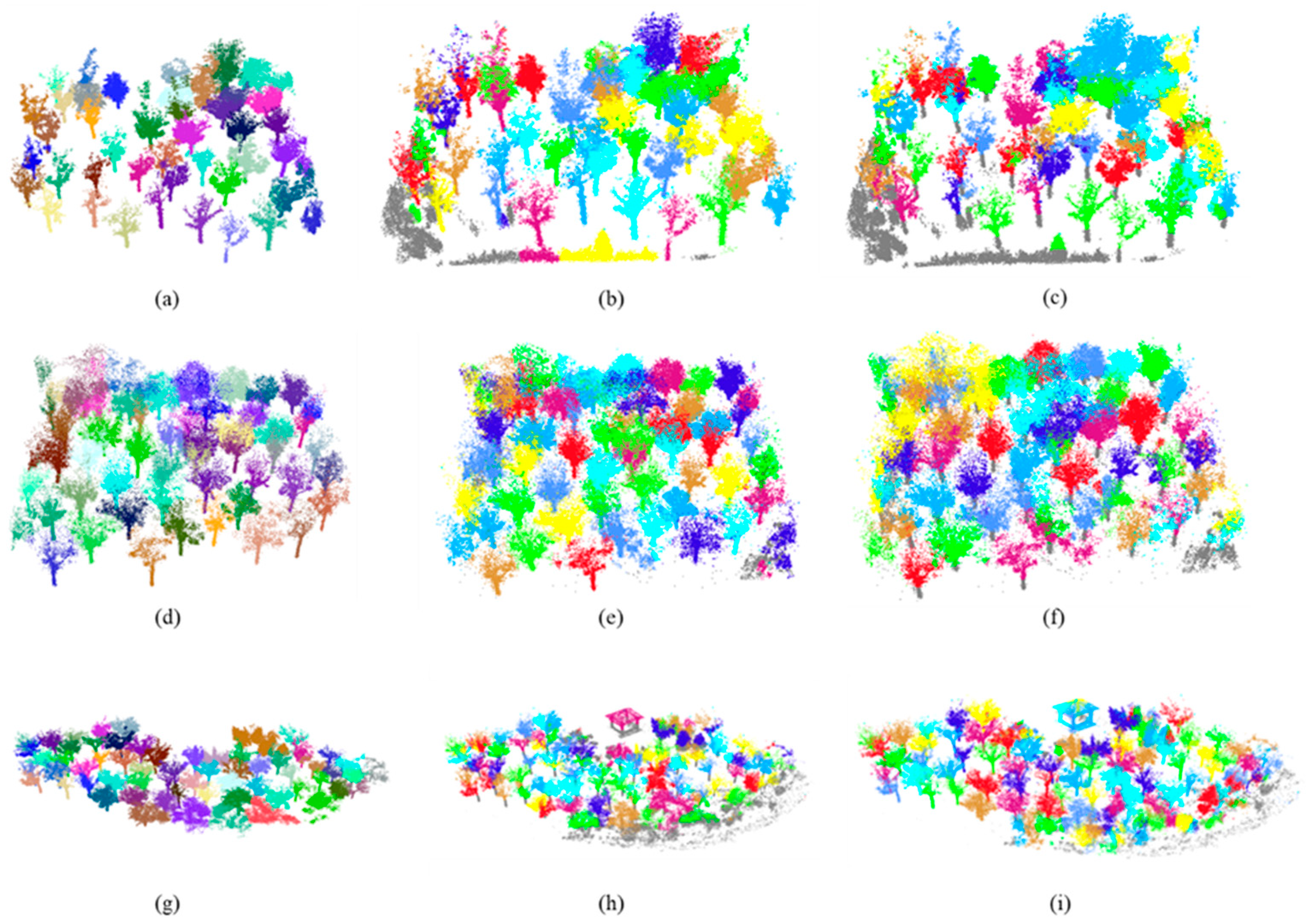 Forests 15 00136 g006
