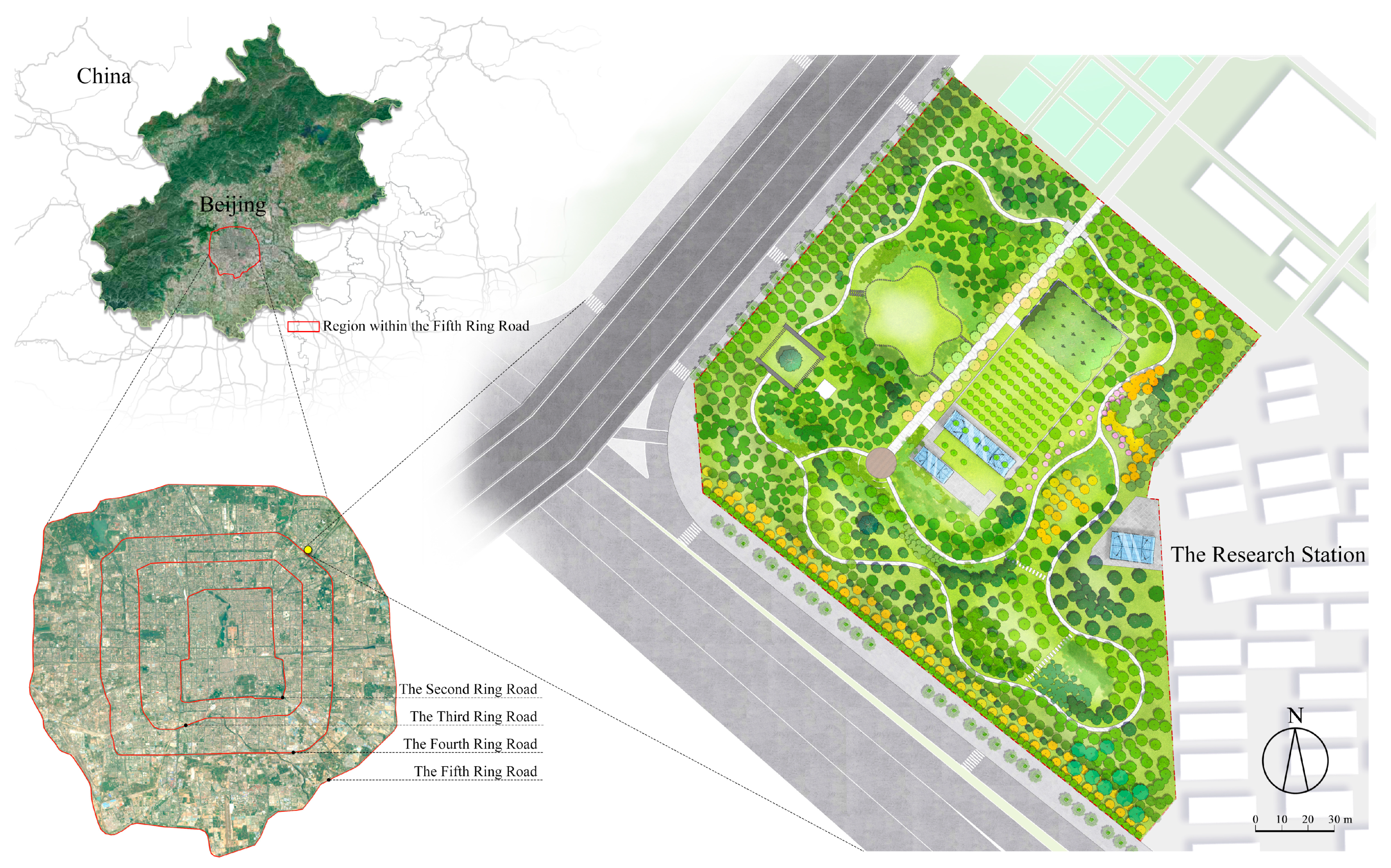 Forests 15 00144 g001