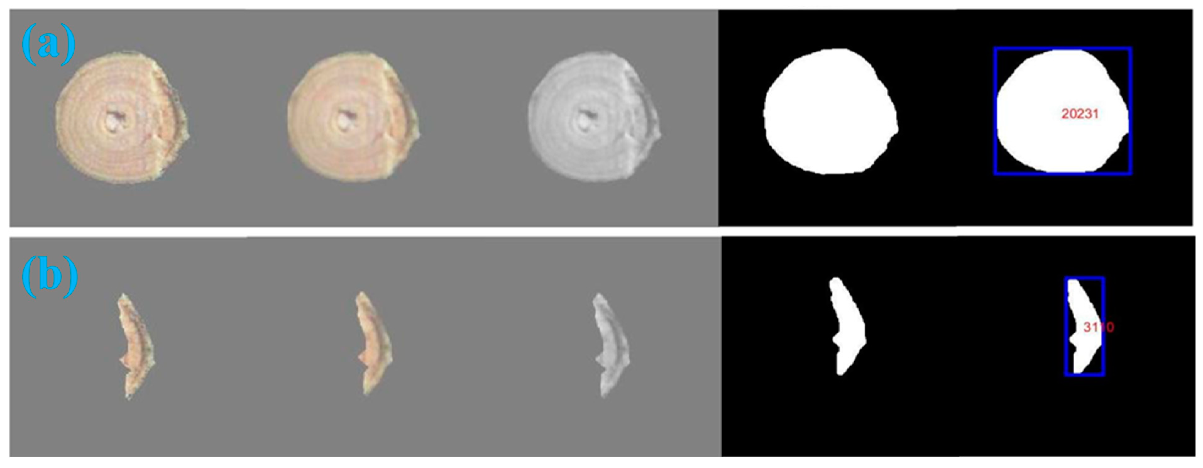 Forests 15 00146 g007