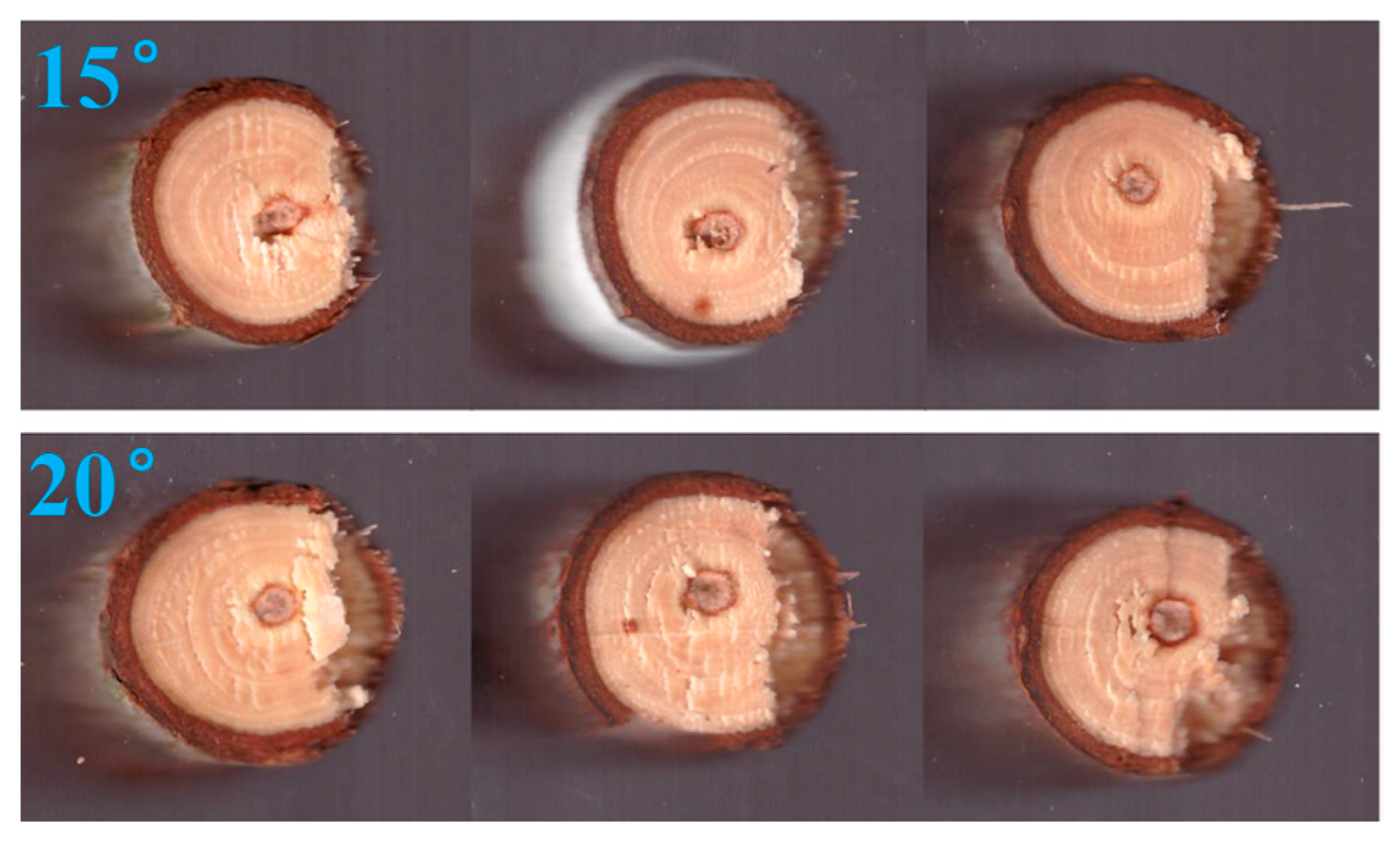 Forests 15 00146 g016