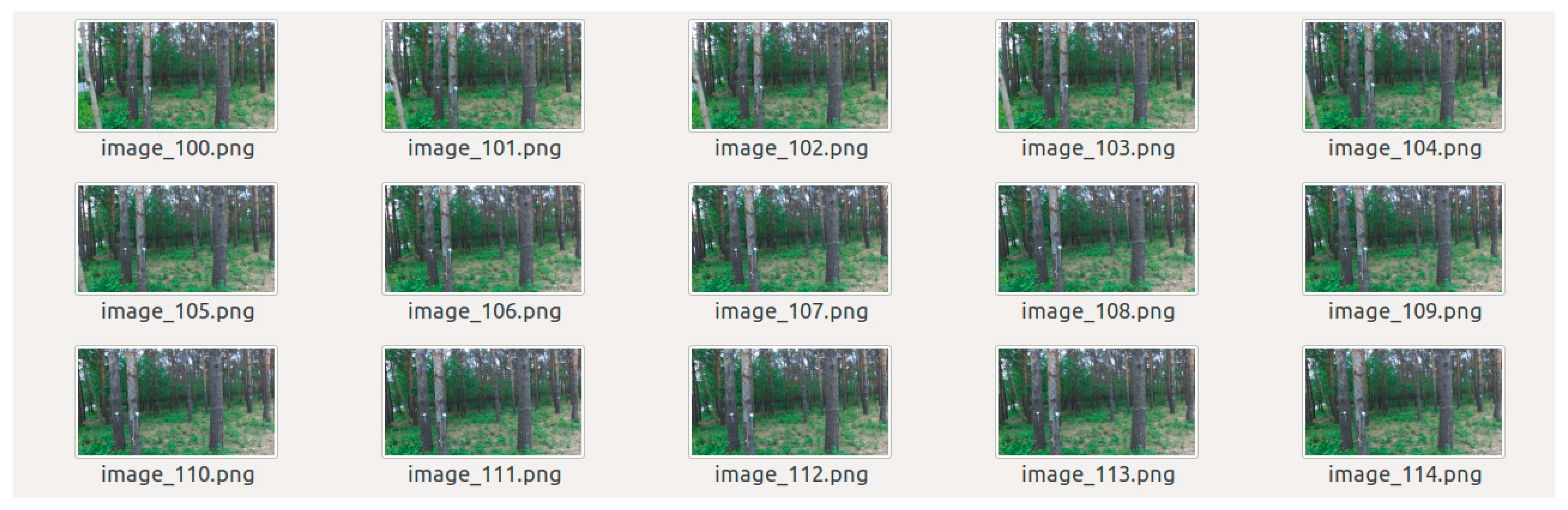 Forests 15 00147 g003