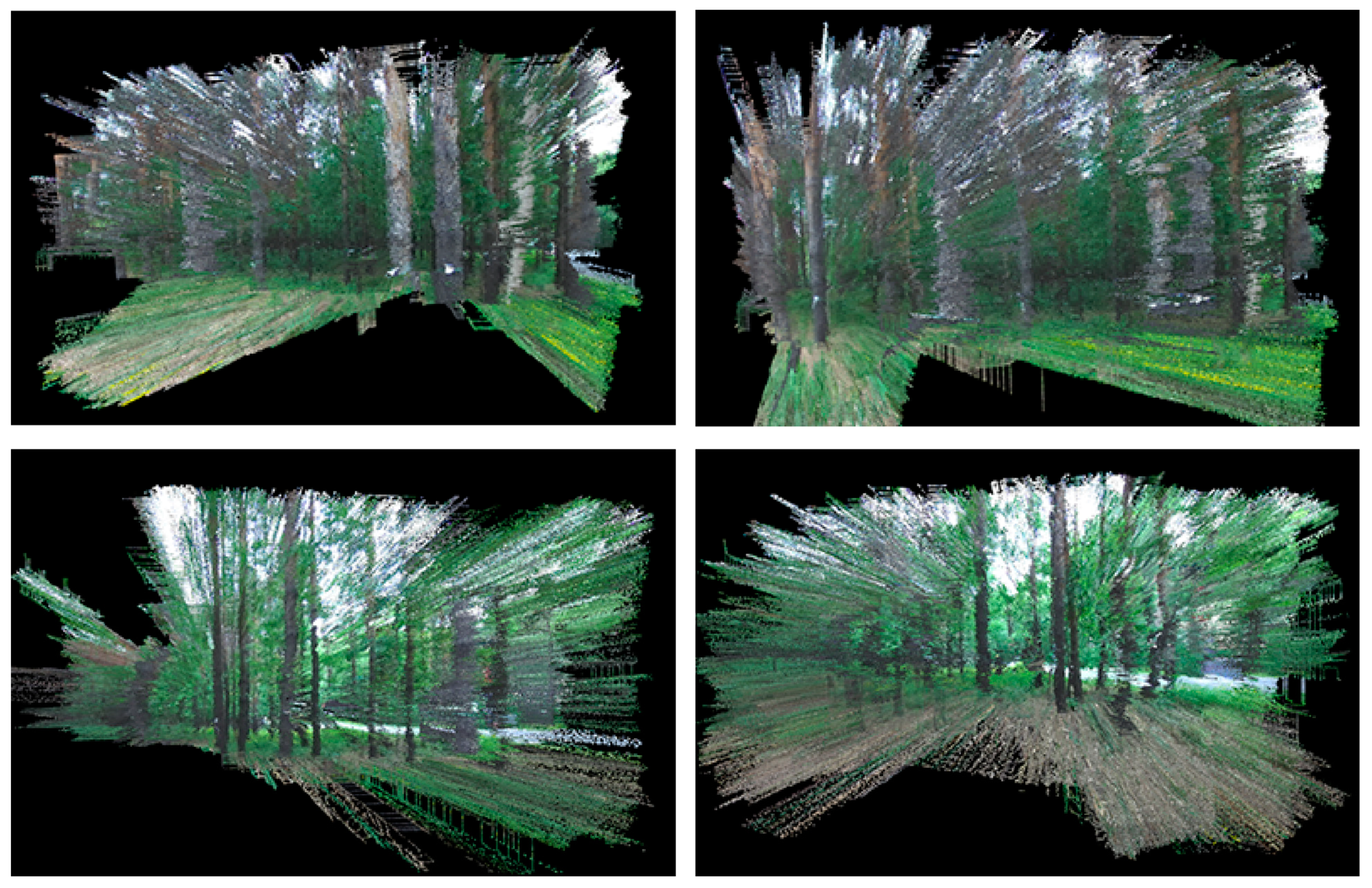 Forests 15 00147 g016