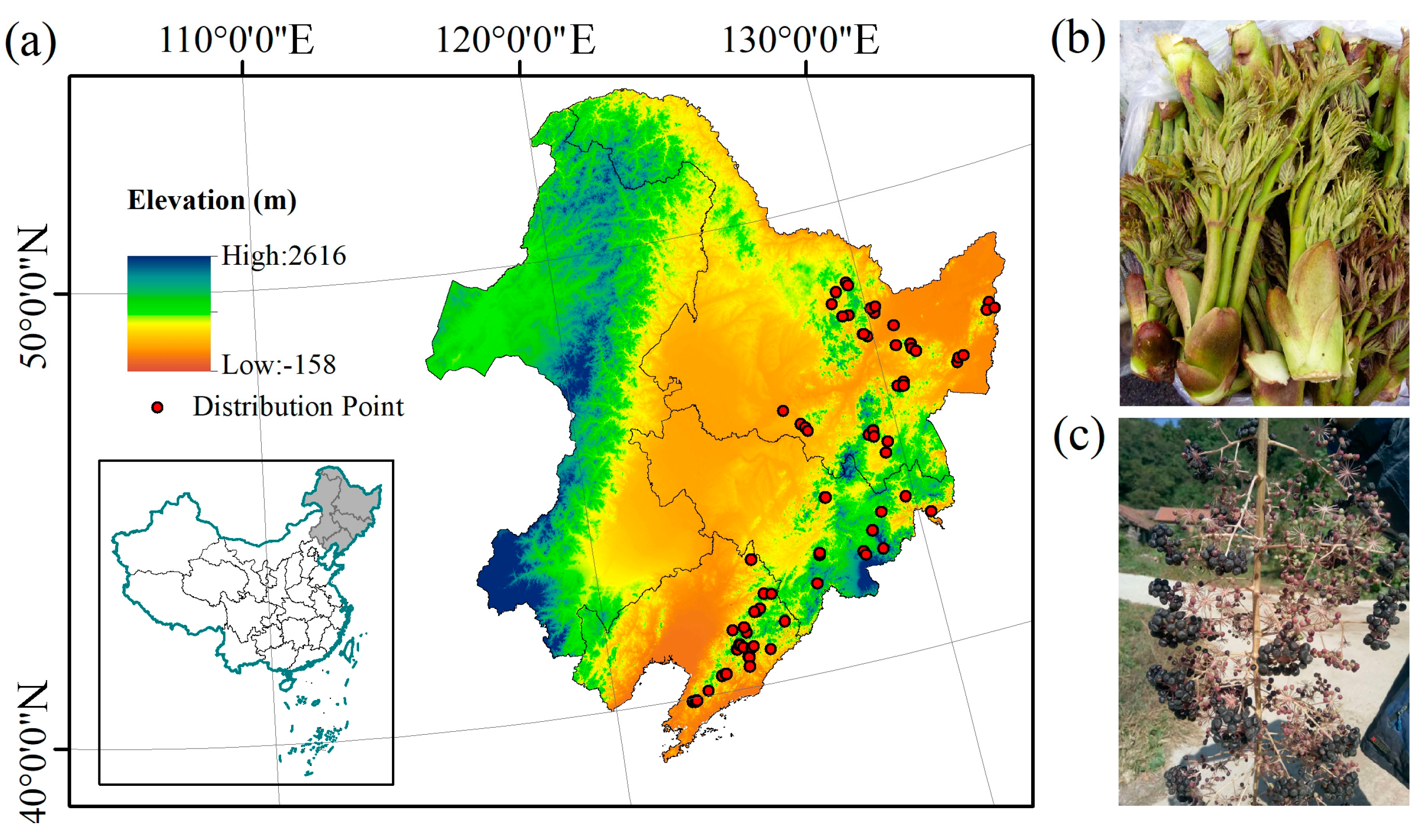 Forests 15 00153 g001