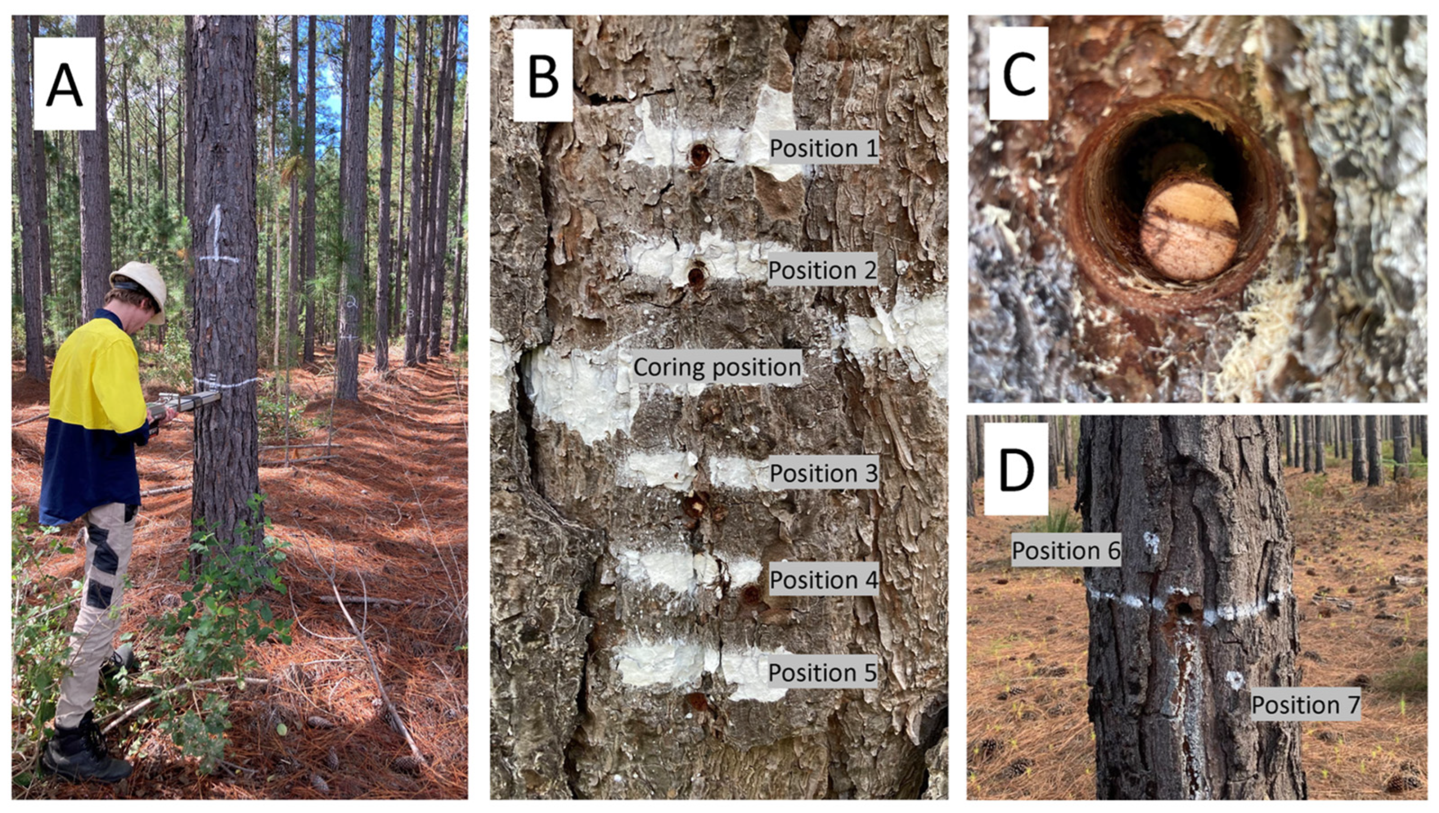 Forests 15 00157 g001