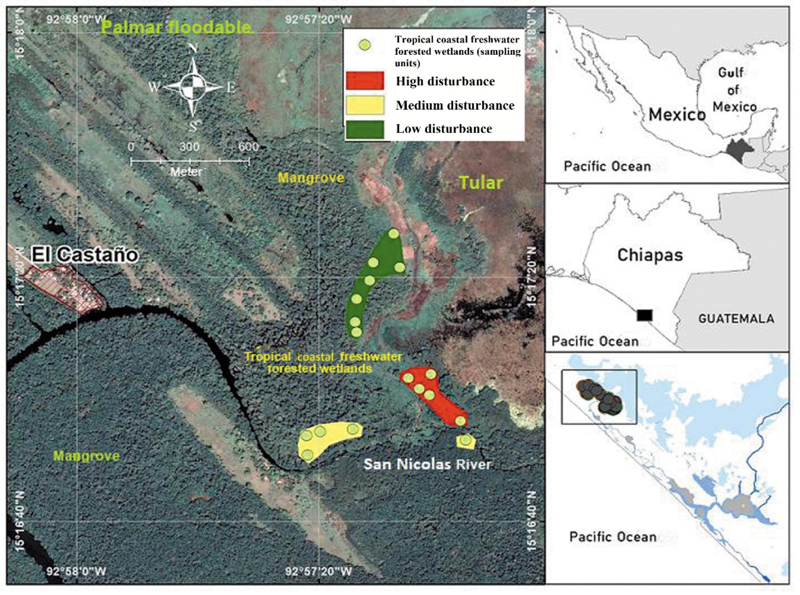 Forests 15 00158 g001 Forests 15 00158 g001
