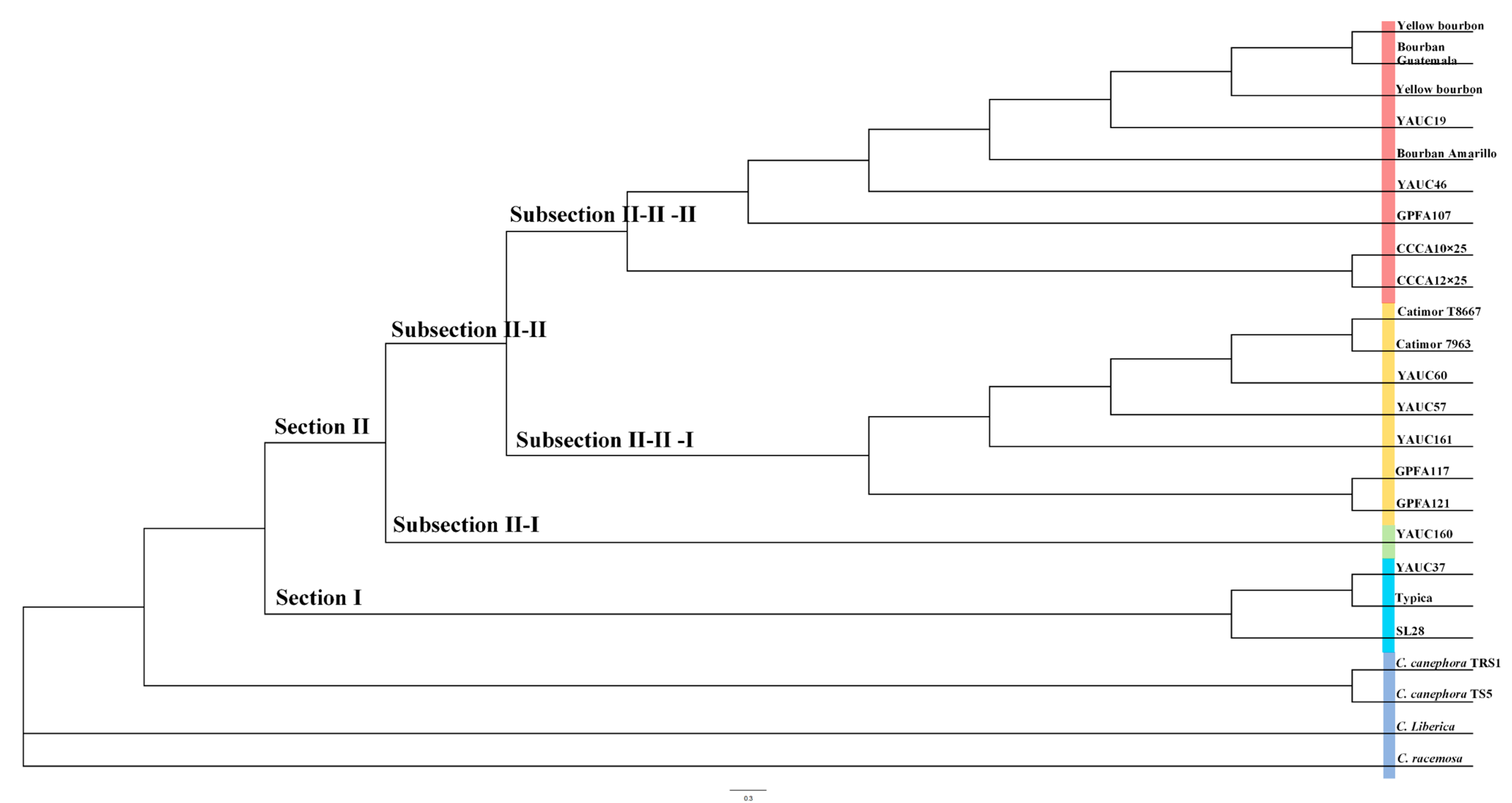 Forests 15 00163 g001