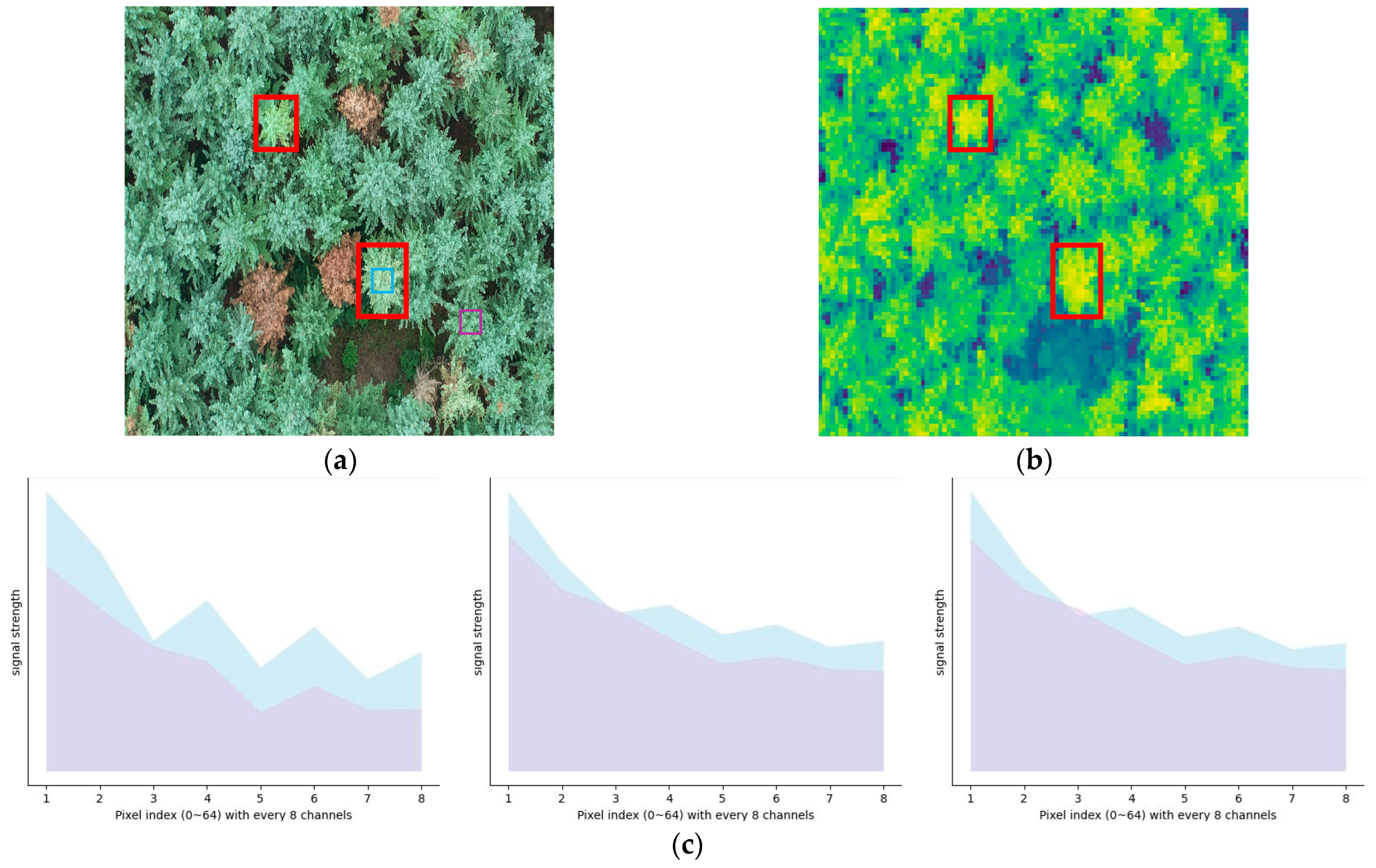 Forests 15 00171 g002