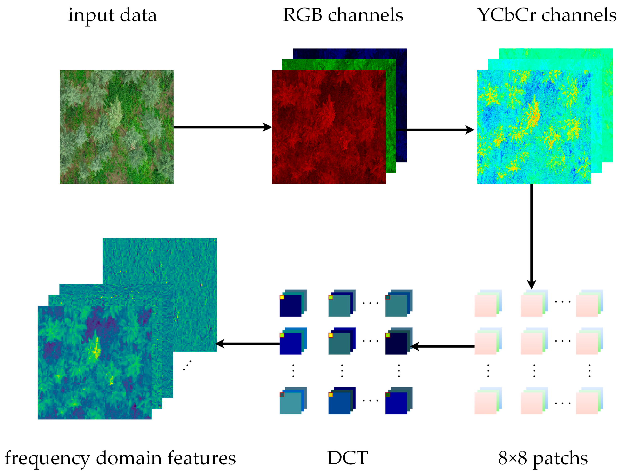 Forests 15 00171 g005