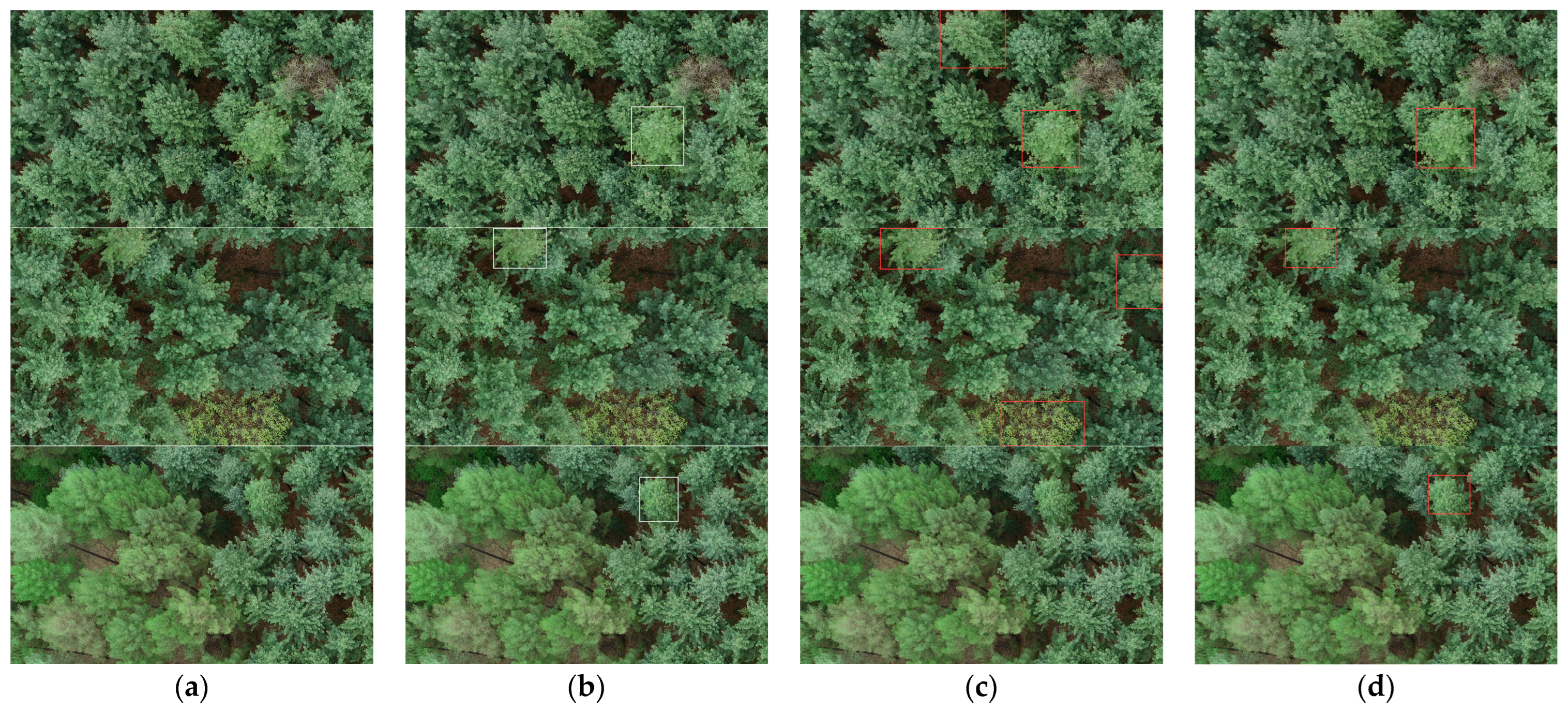Forests 15 00171 g010