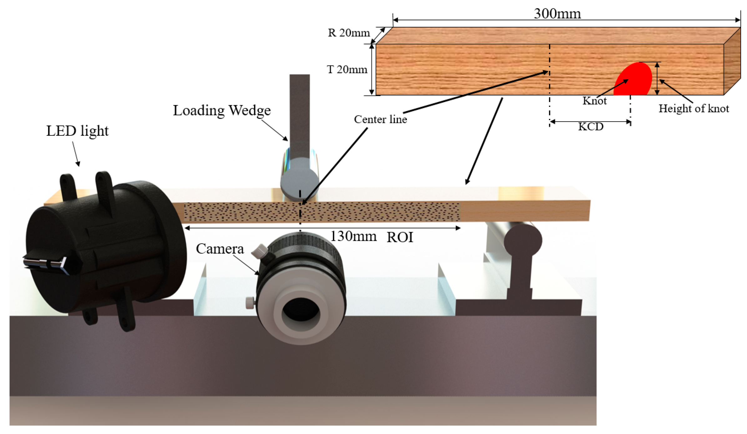Forests 15 00174 g001