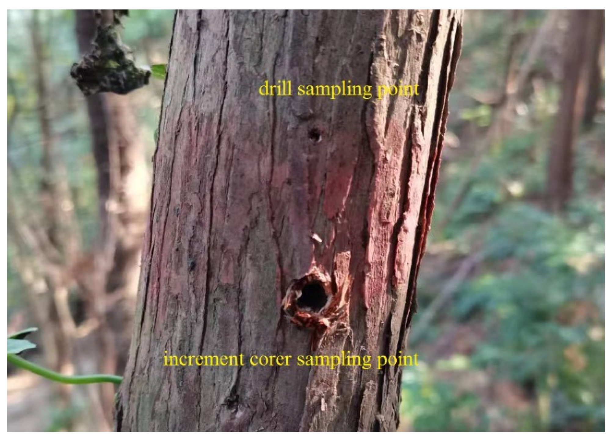 Forests 15 00175 g001