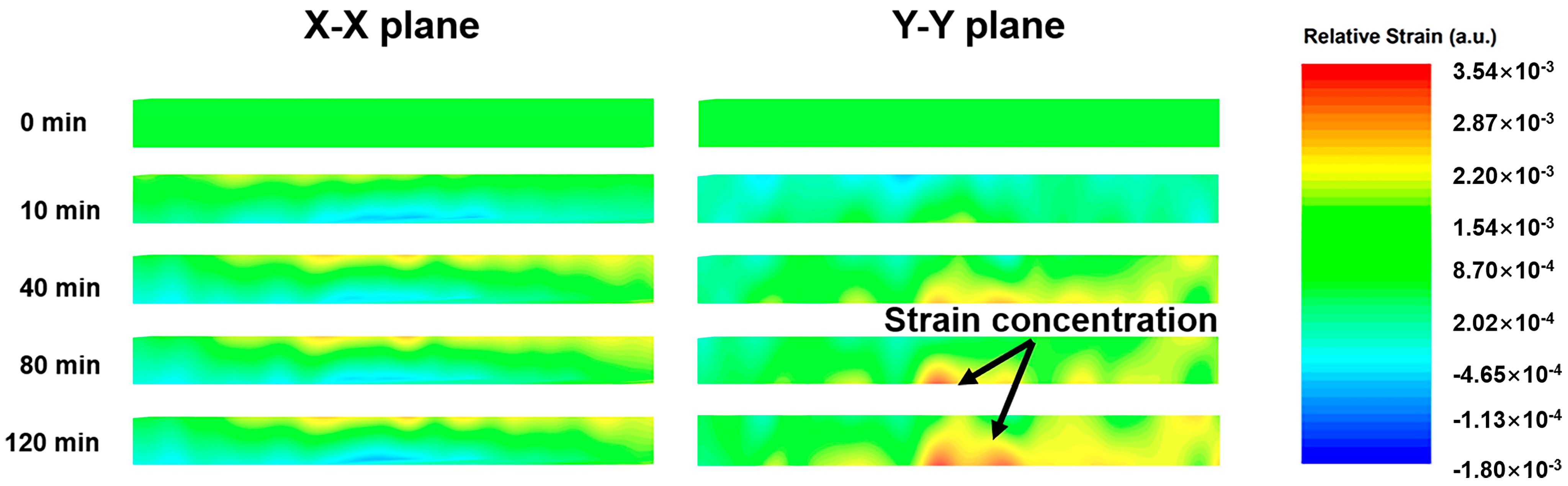 Forests 15 00179 g006