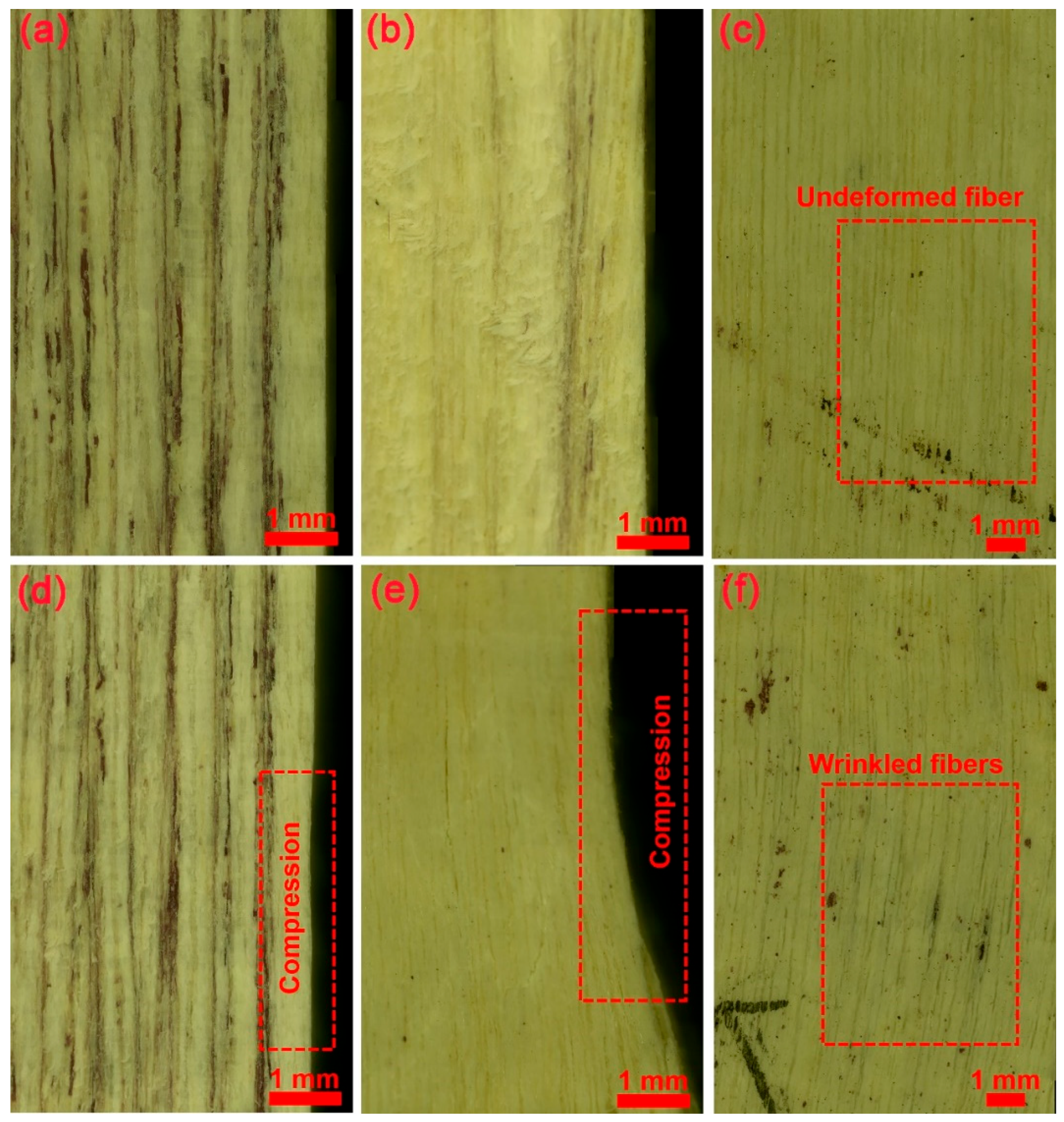 Forests 15 00179 g009