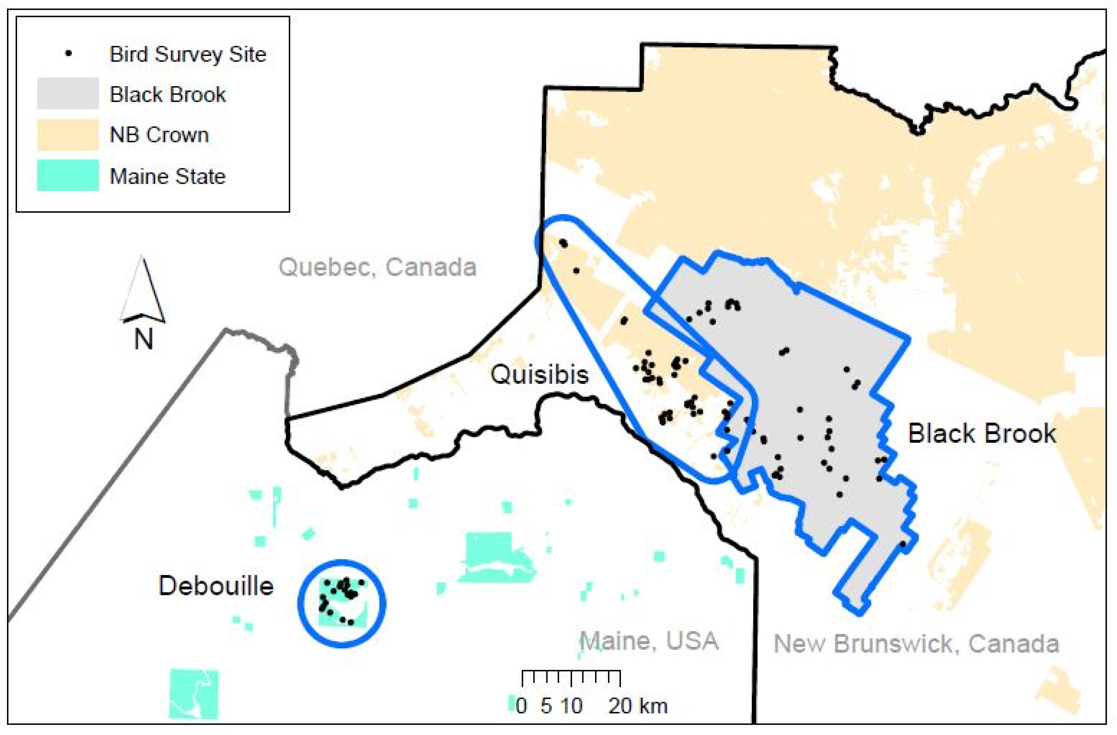 Forests 15 00184 g001