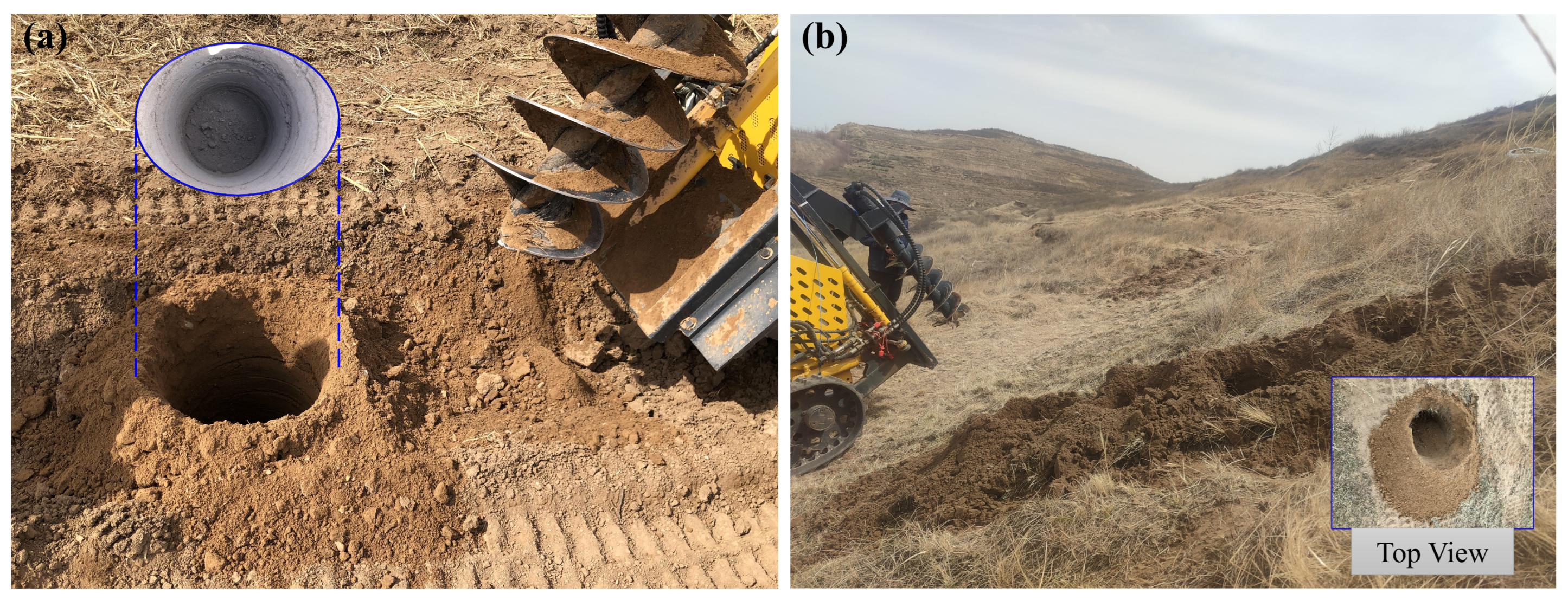 Forests 15 00190 g010