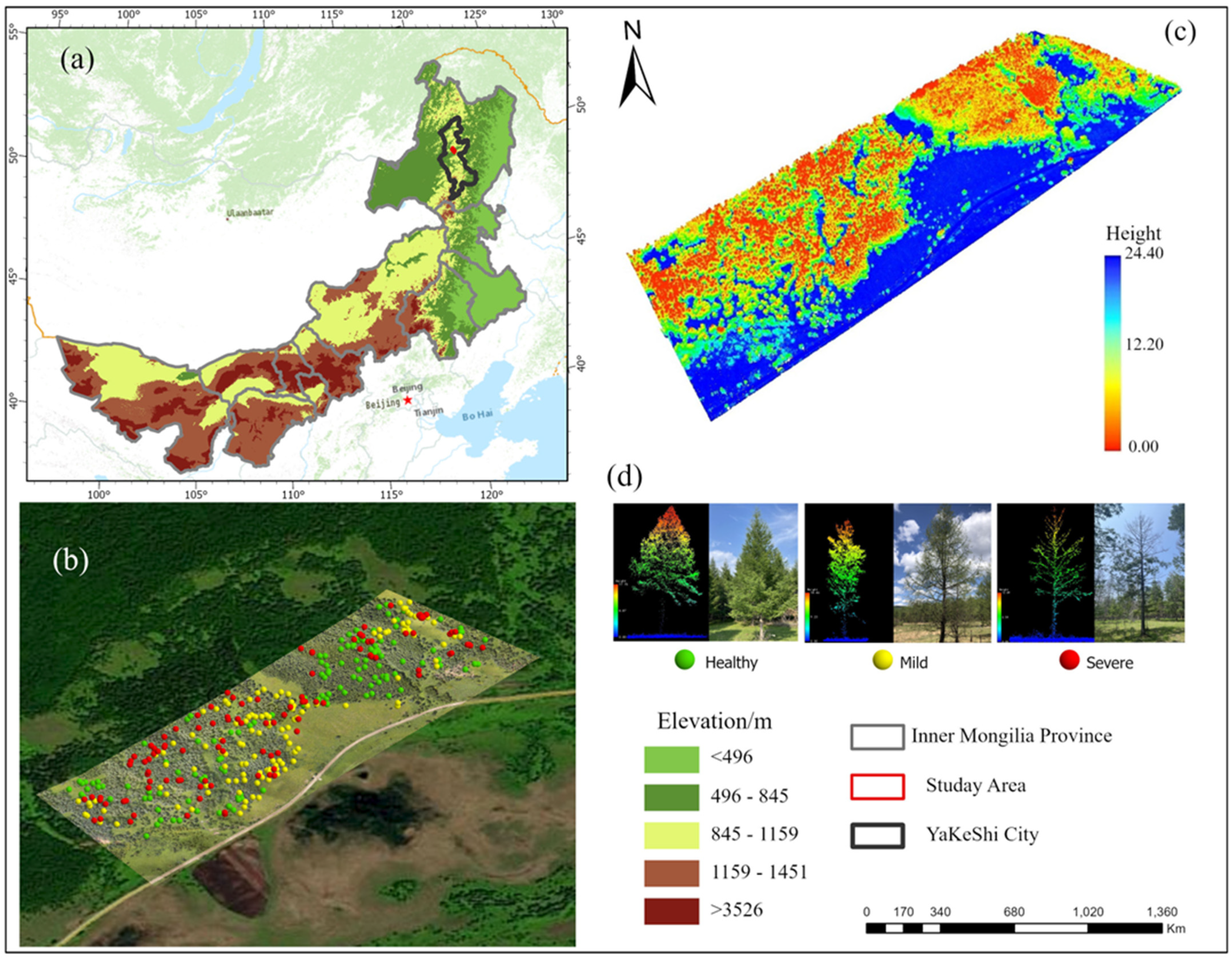 Forests 15 00191 g001