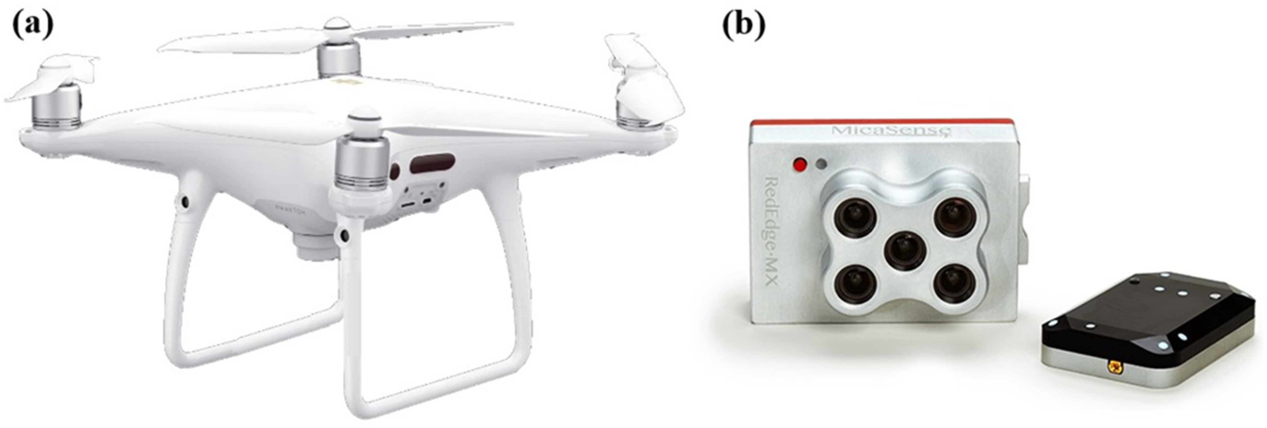 Forests 15 00191 g002