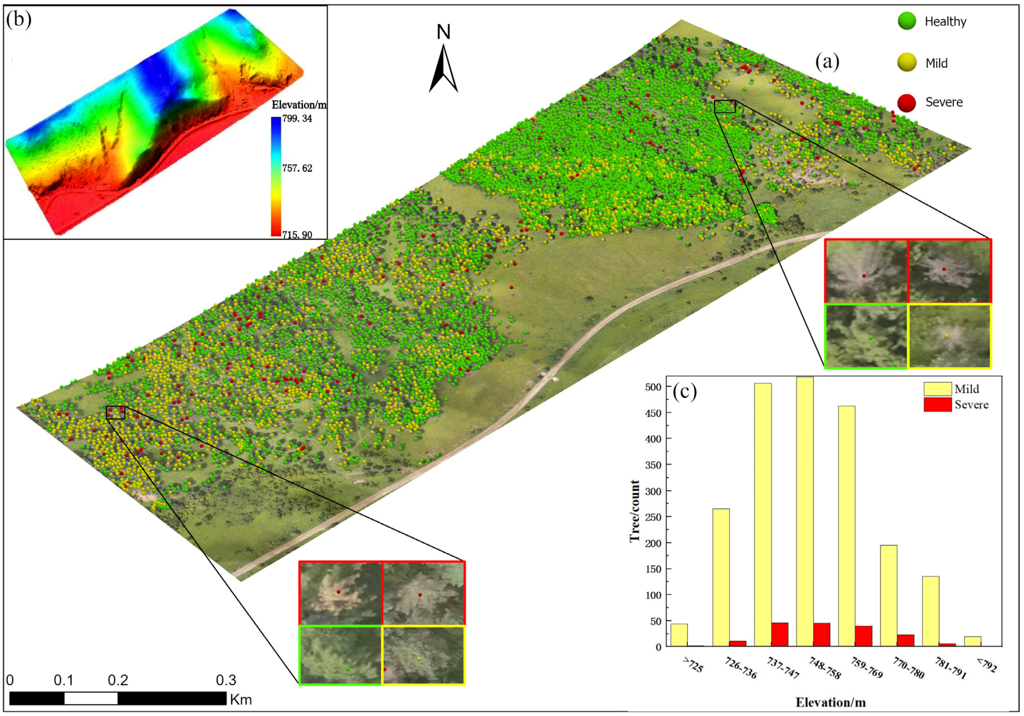 Forests 15 00191 g009