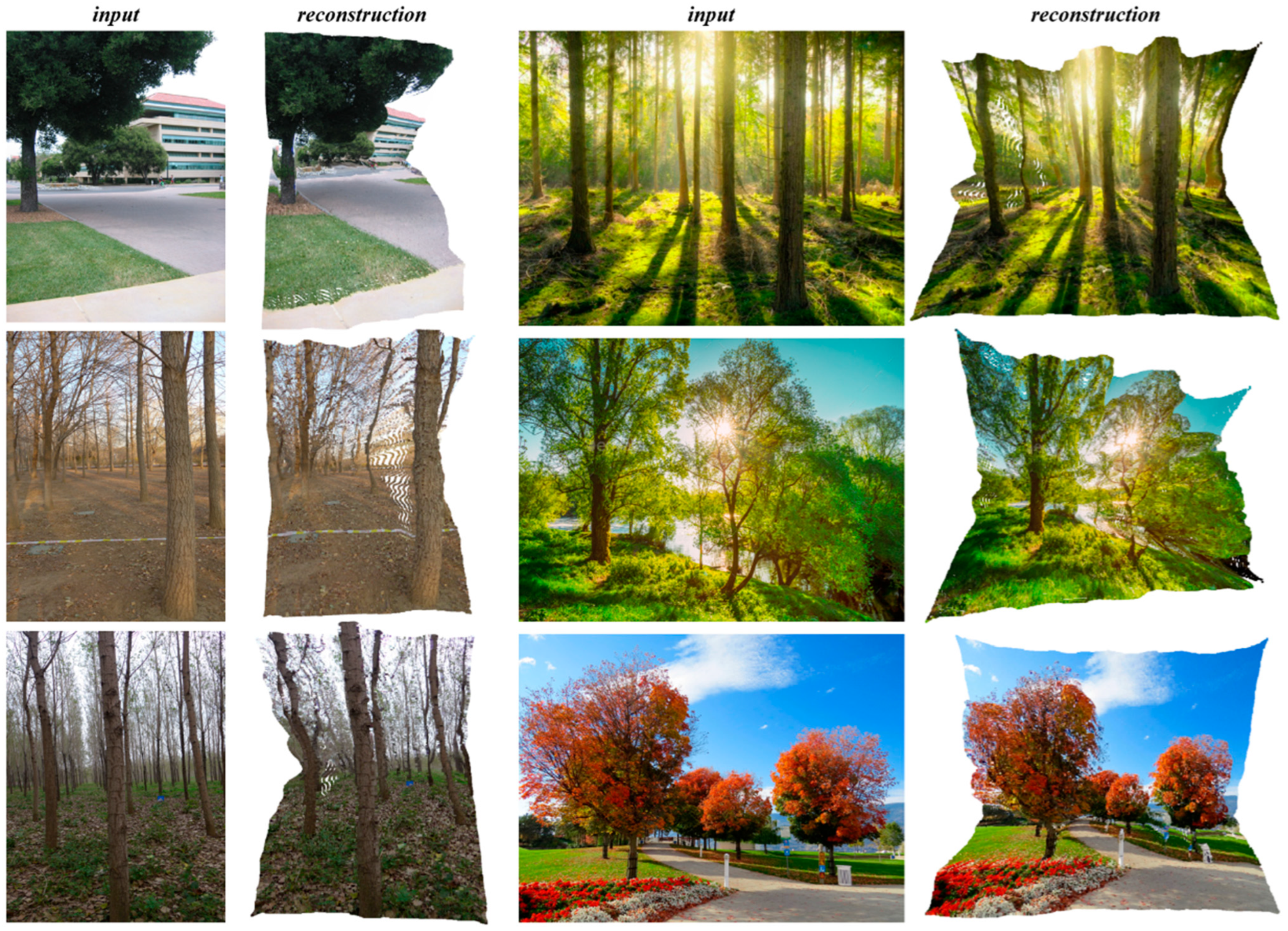 Forests 15 00194 g005