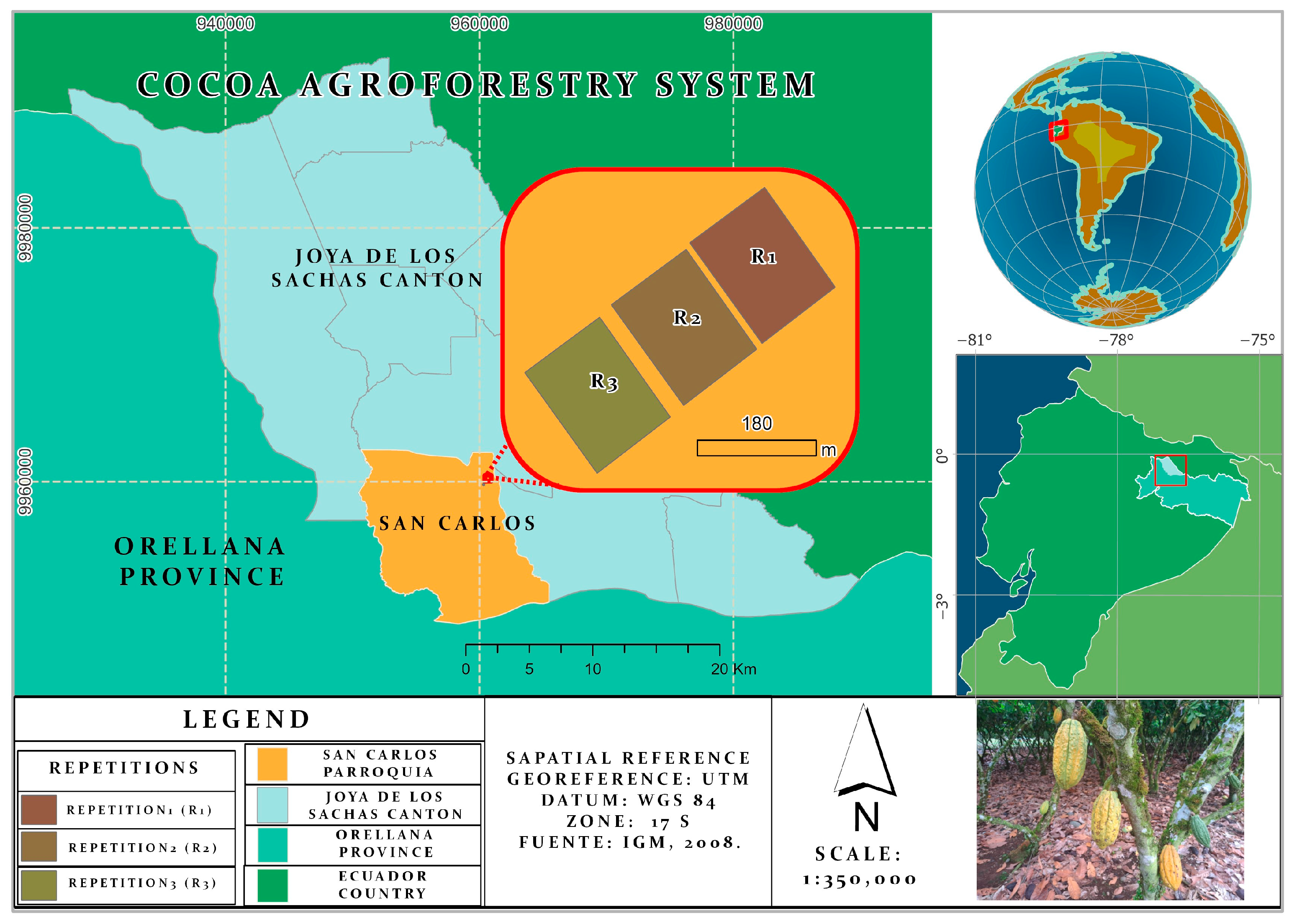 Forests 15 00195 g001 Forests 15 00195 g001