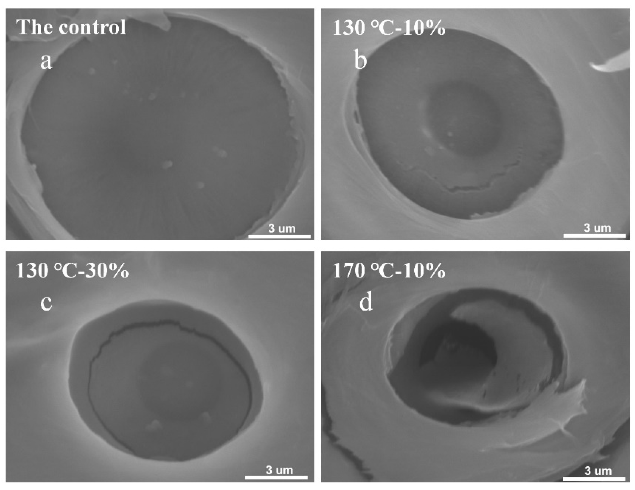 Forests 15 00203 g003 Forests 15 00203 g003
