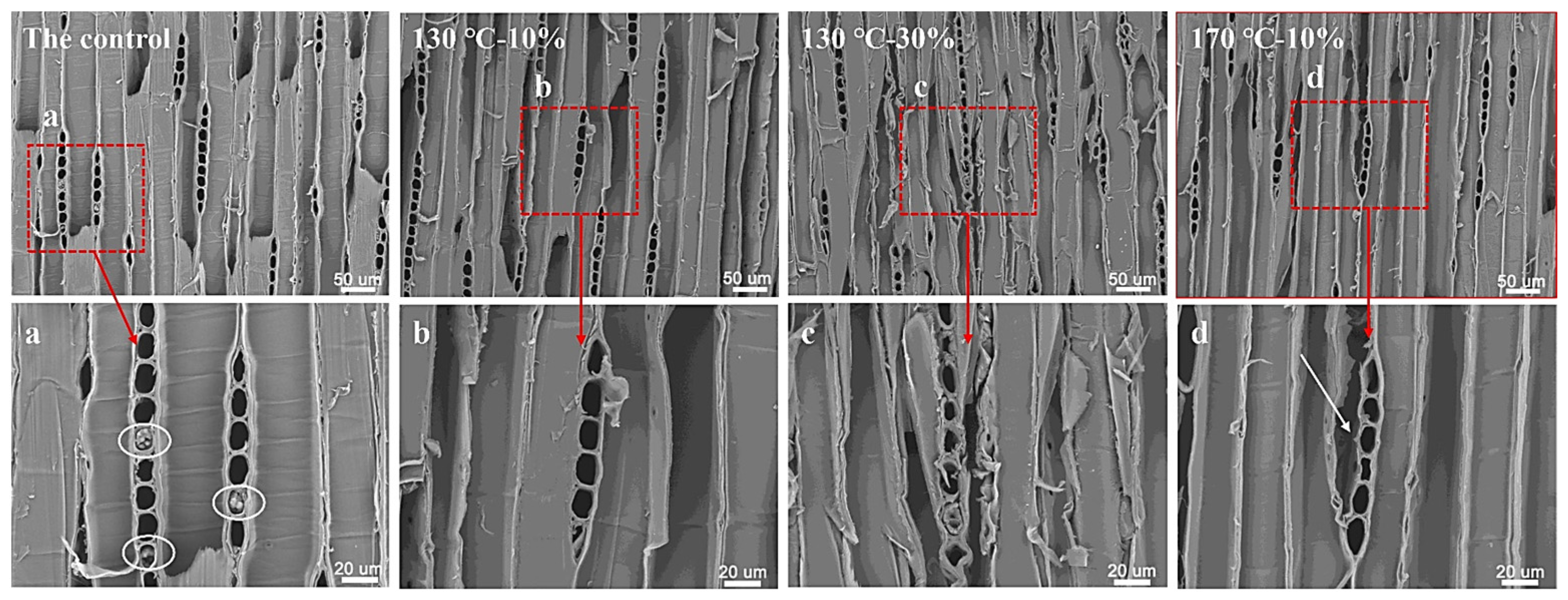 Forests 15 00203 g005 Forests 15 00203 g005