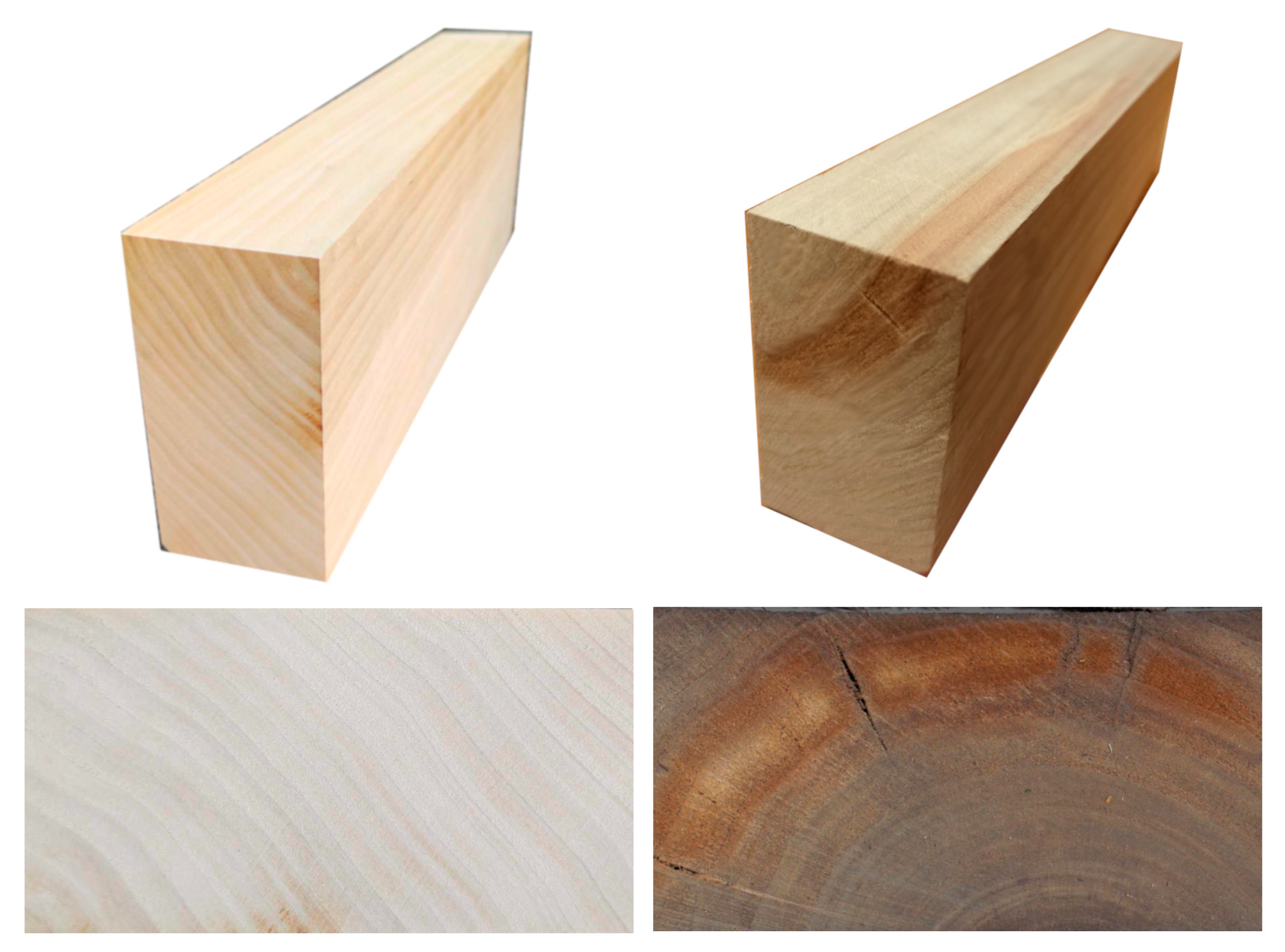 Forests 15 00207 g001 Forests 15 00207 g001