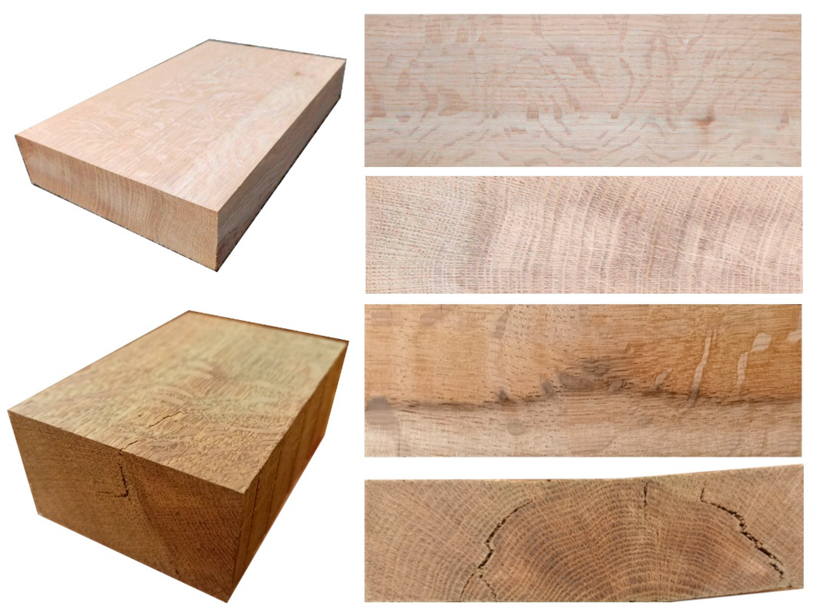 Forests 15 00207 g002 Forests 15 00207 g002