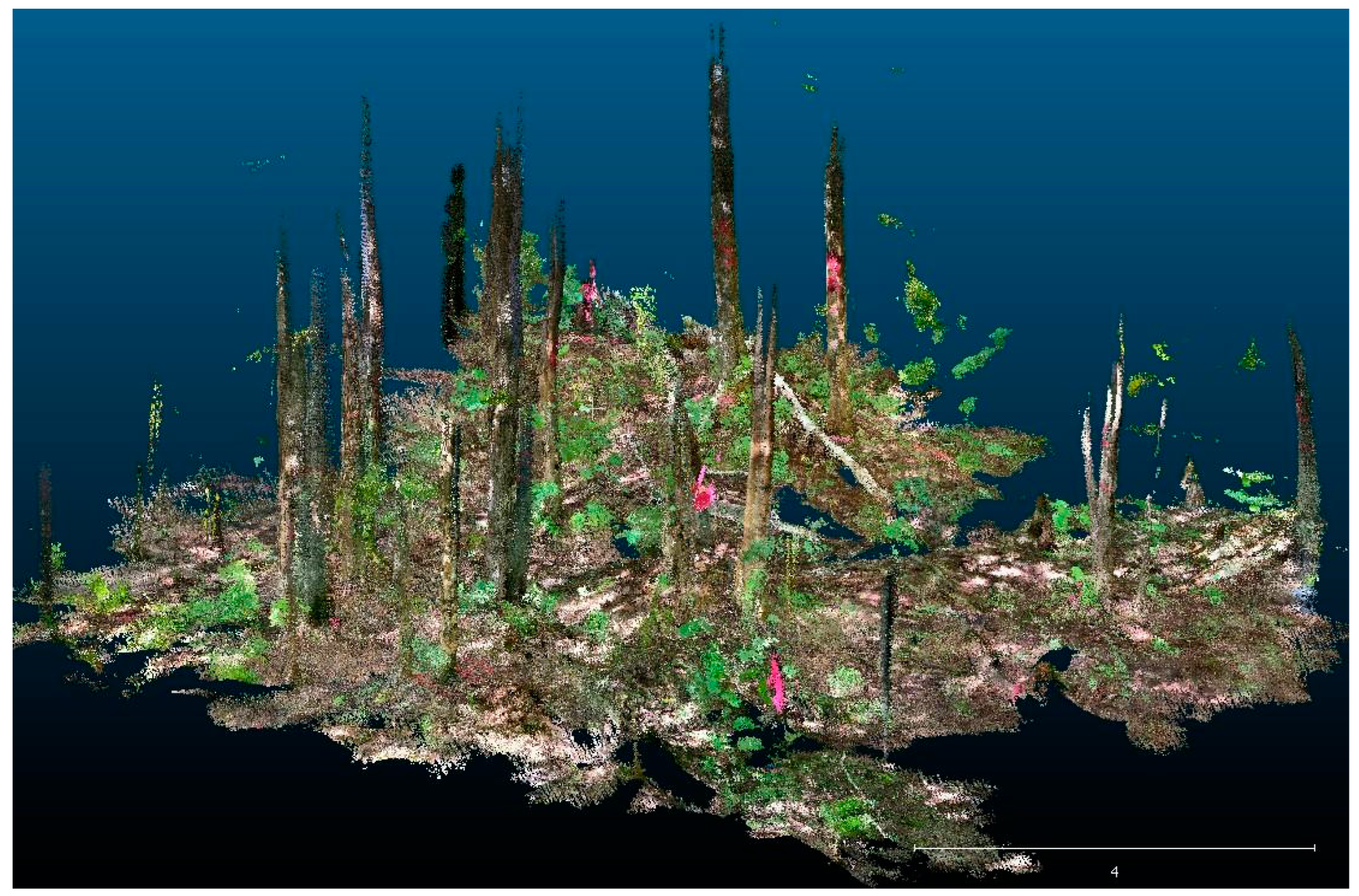 Forests 15 00214 g002