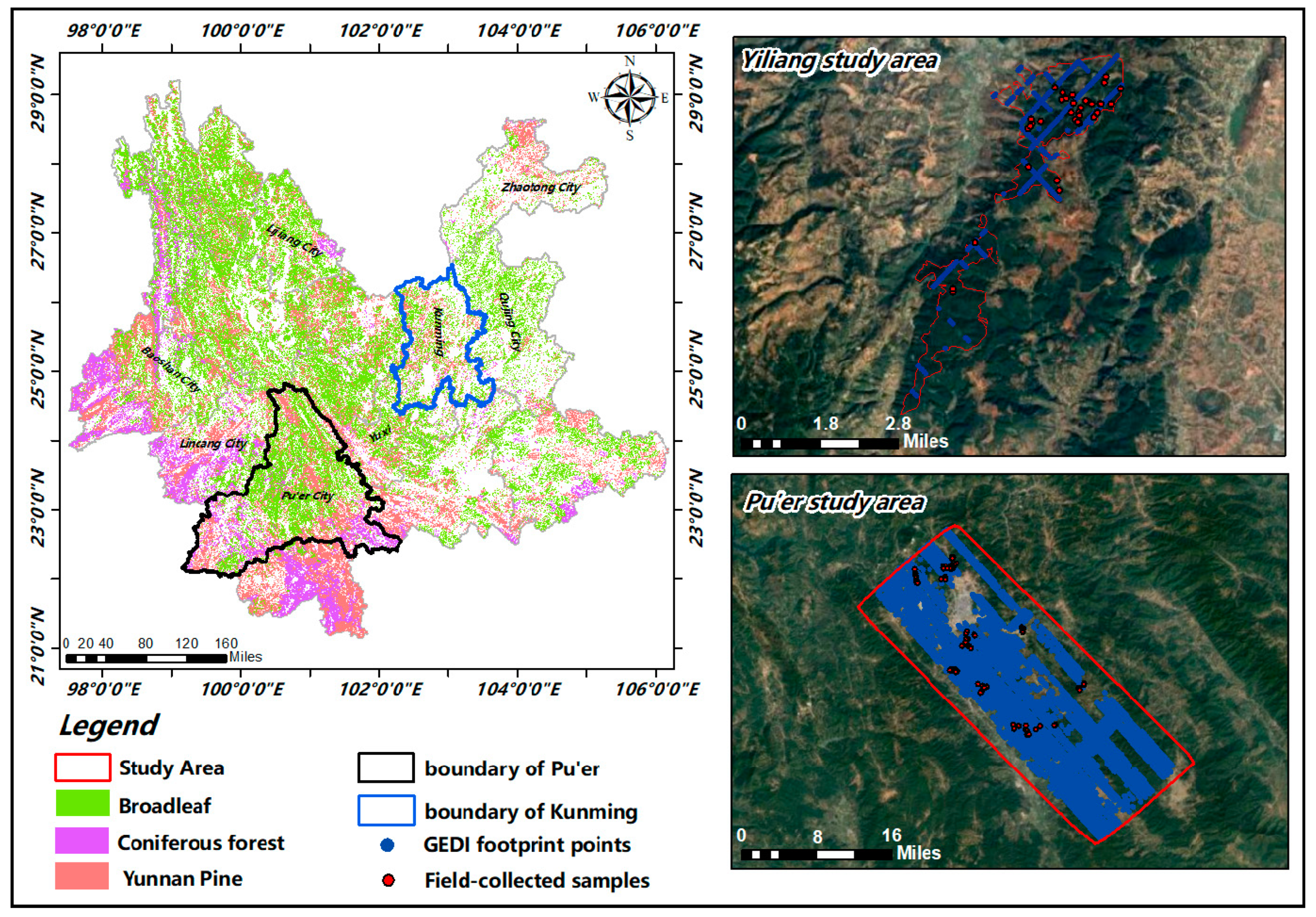 Forests 15 00215 g001