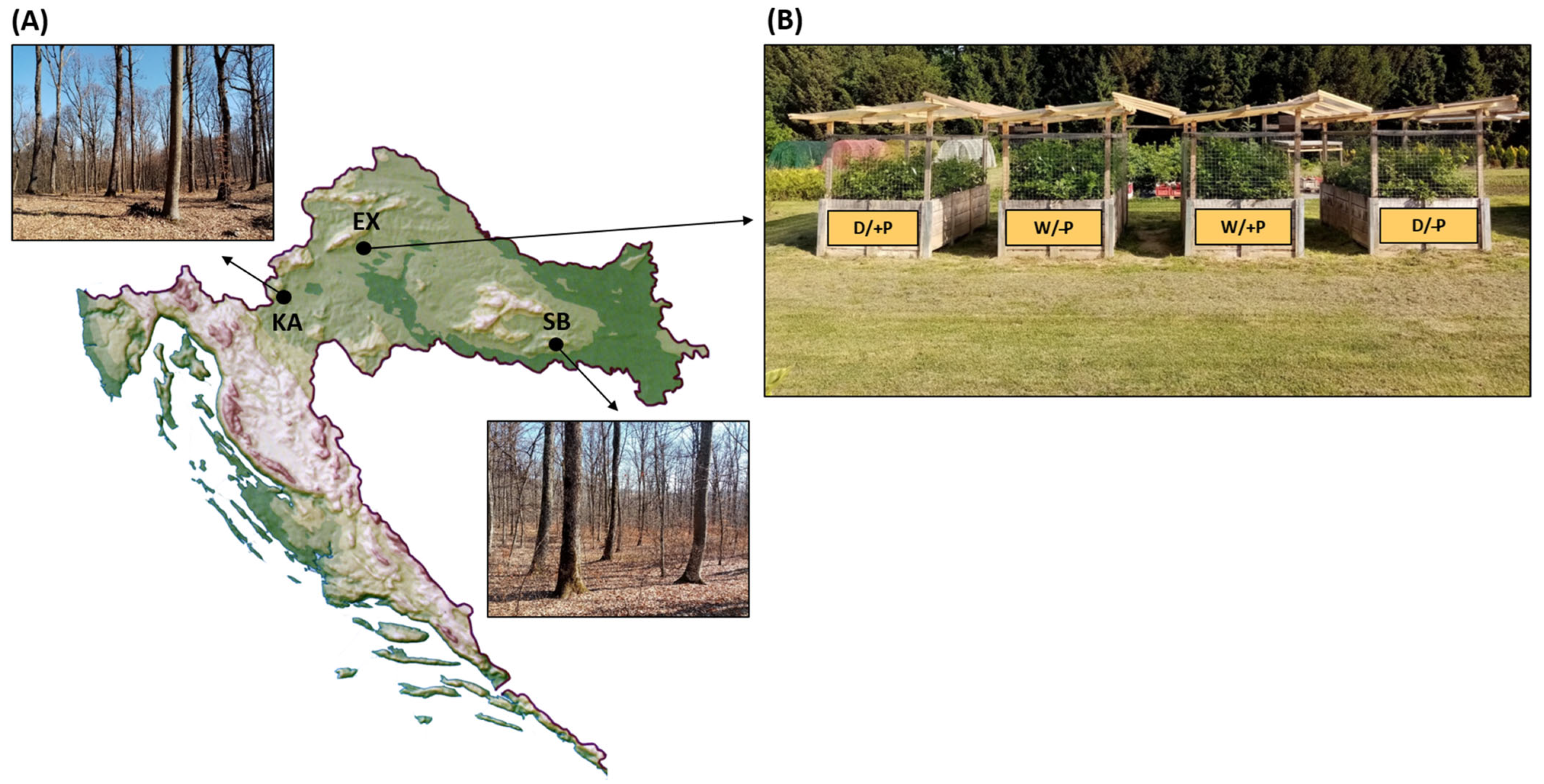 Forests 15 00219 g0a1