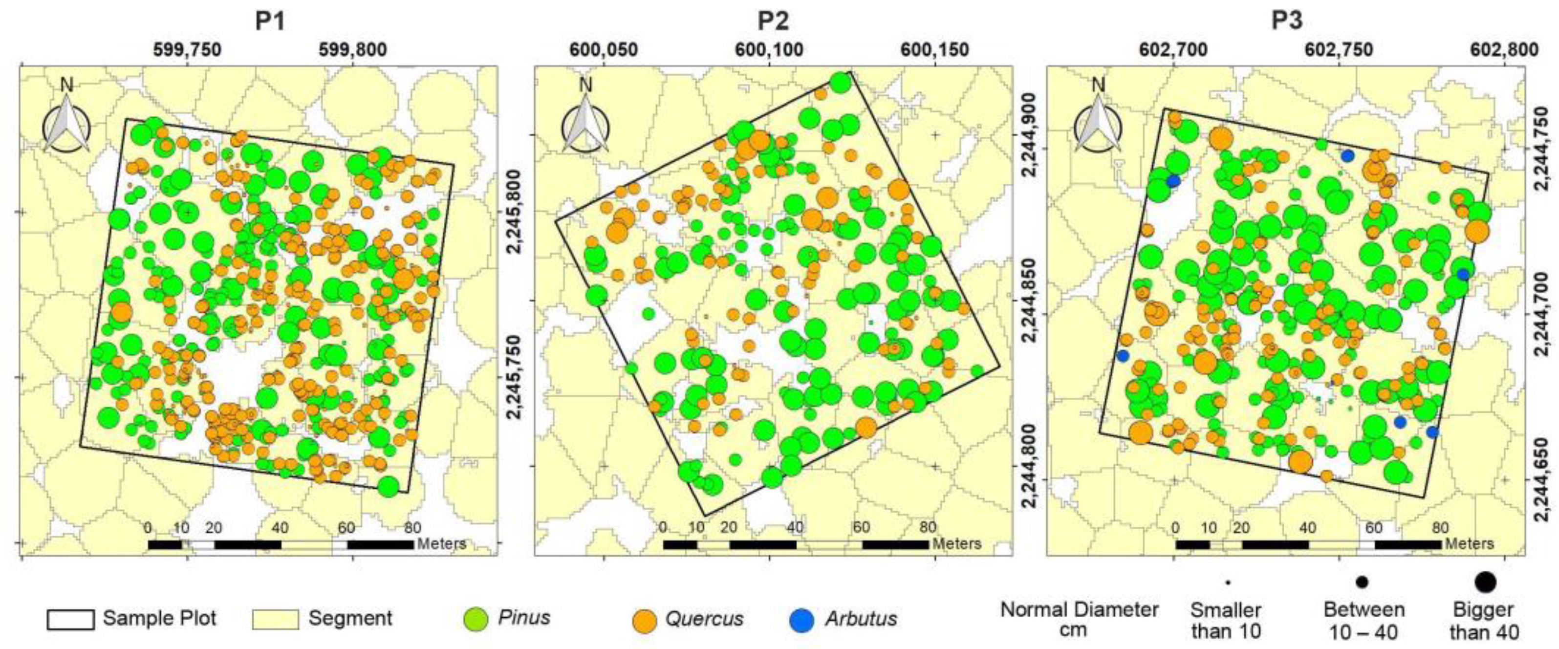 Forests 15 00225 g004