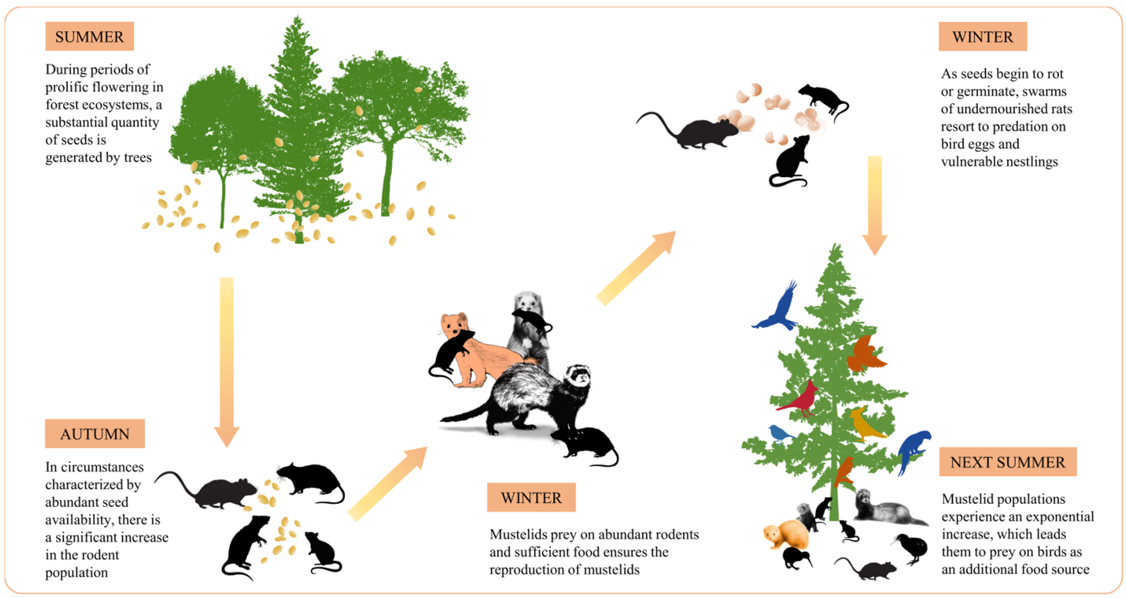 Forests 15 00227 g001