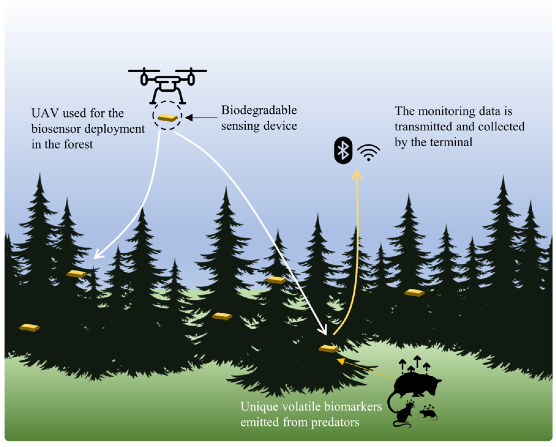 Forests 15 00227 g002