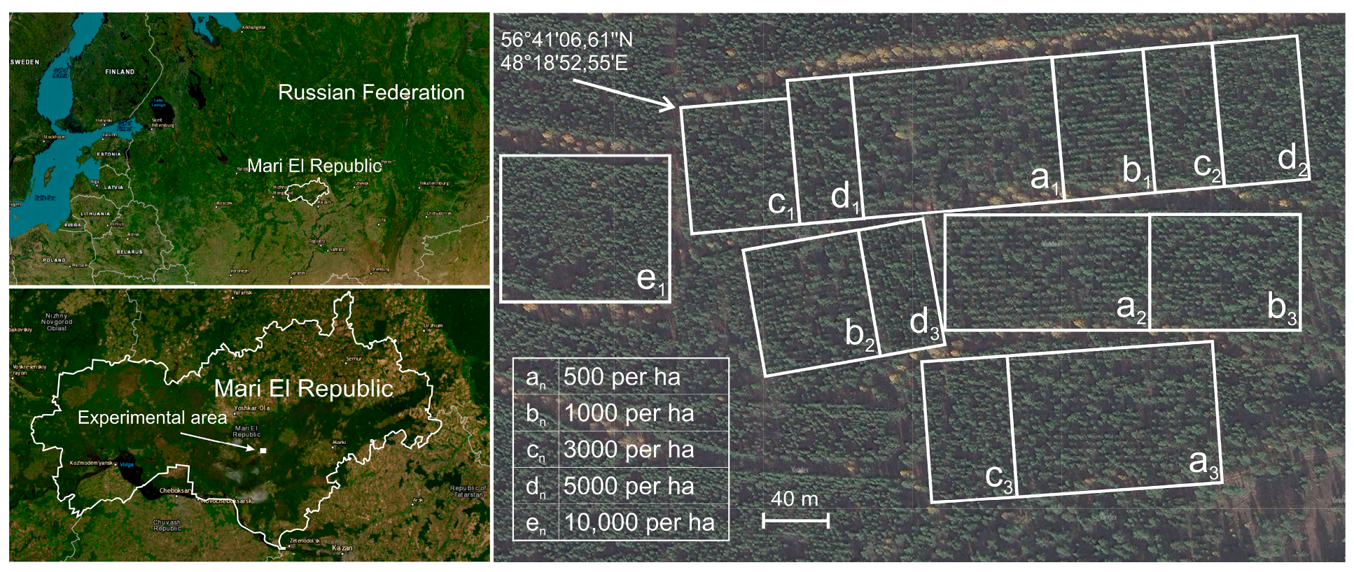 Forests 15 00233 g001