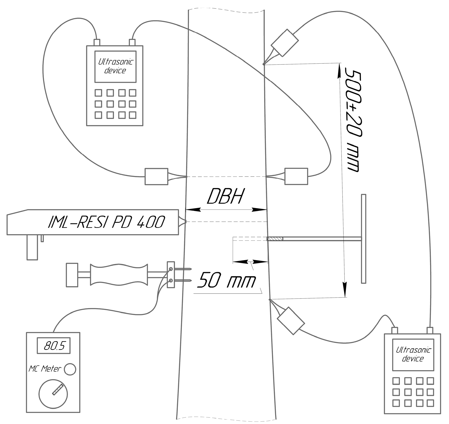 Forests 15 00233 g003