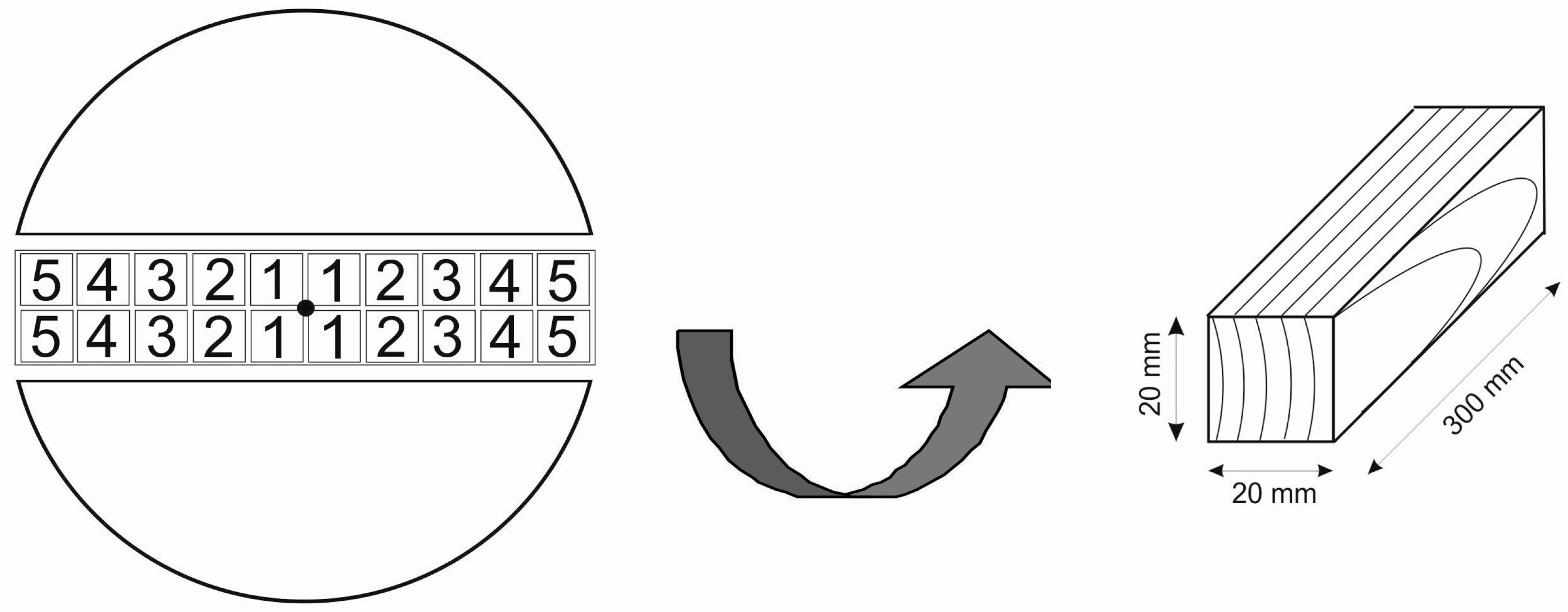 Forests 15 00255 g001
