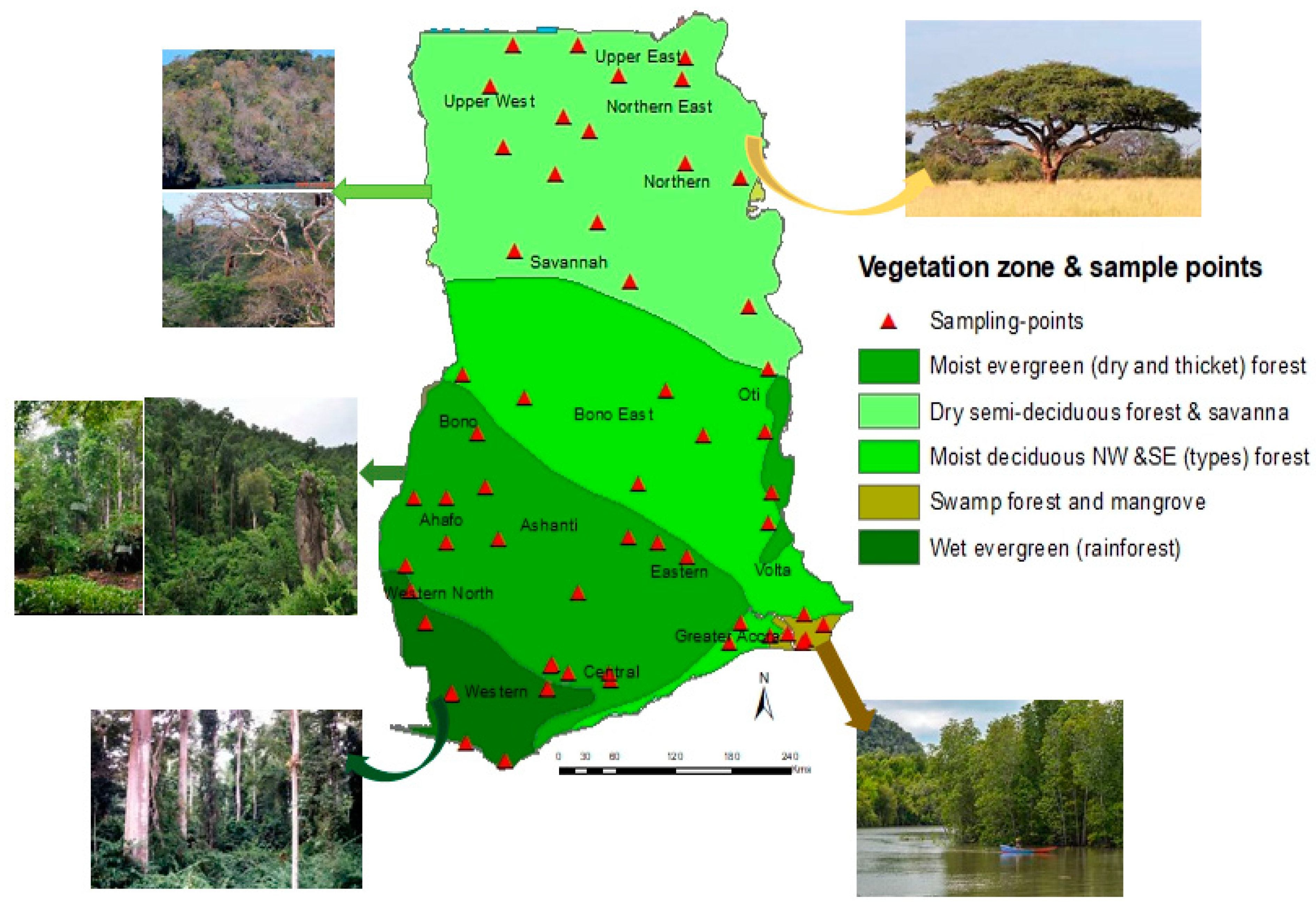 Forests 15 00256 g002