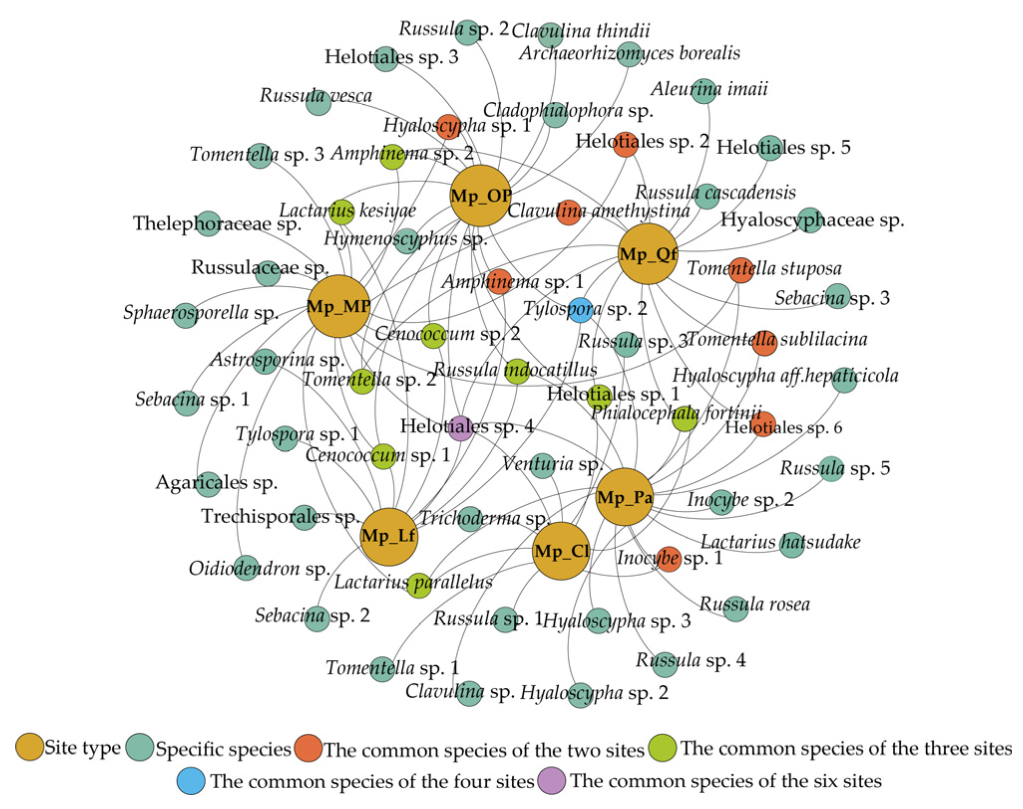 Forests 15 00258 g003