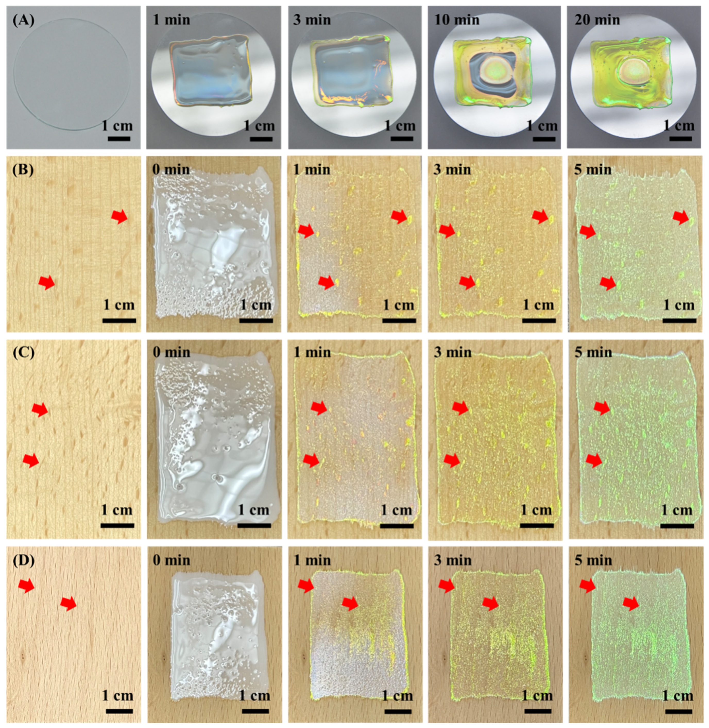 Forests 15 00261 g003