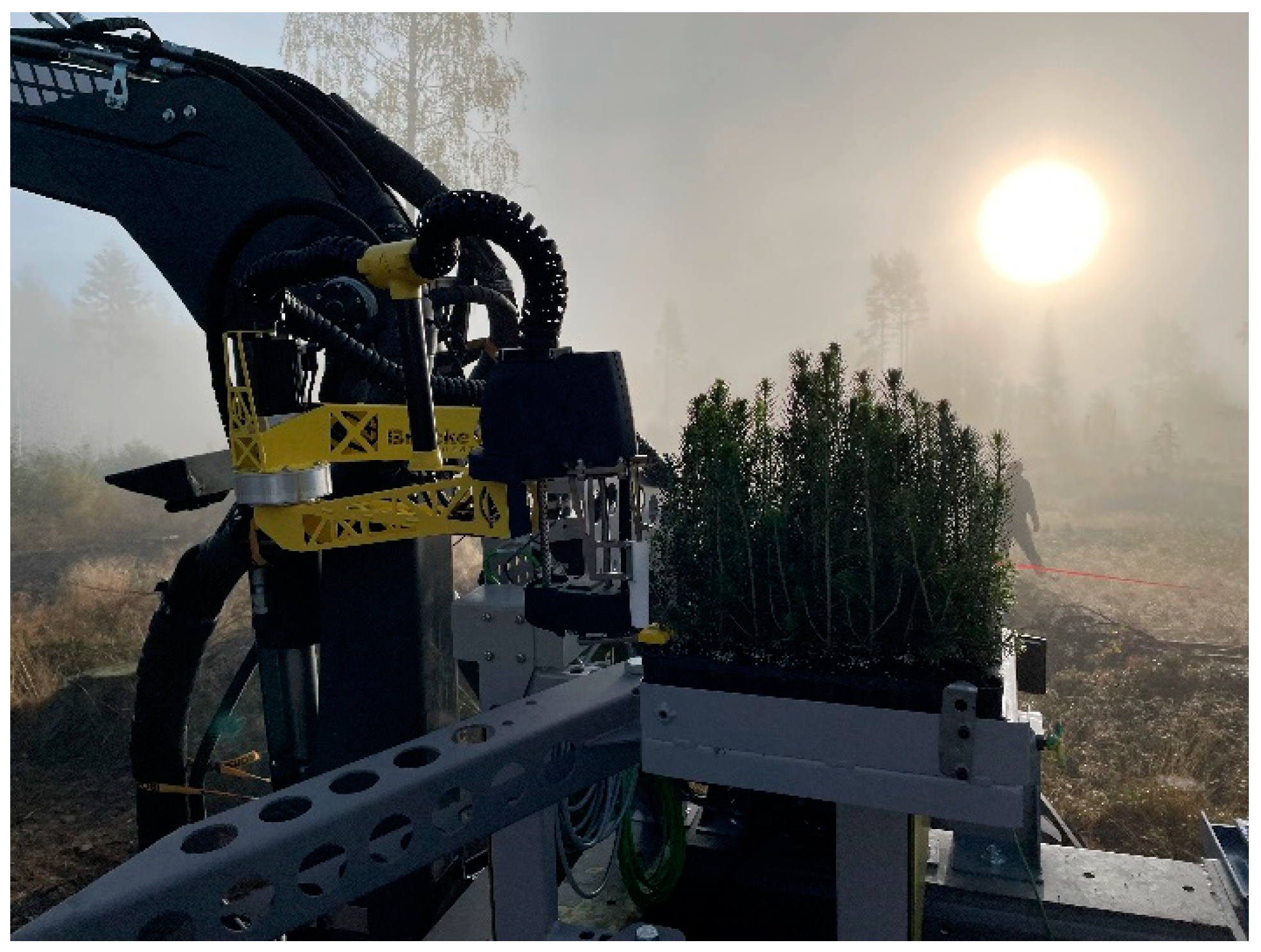 Forests 15 00263 g007