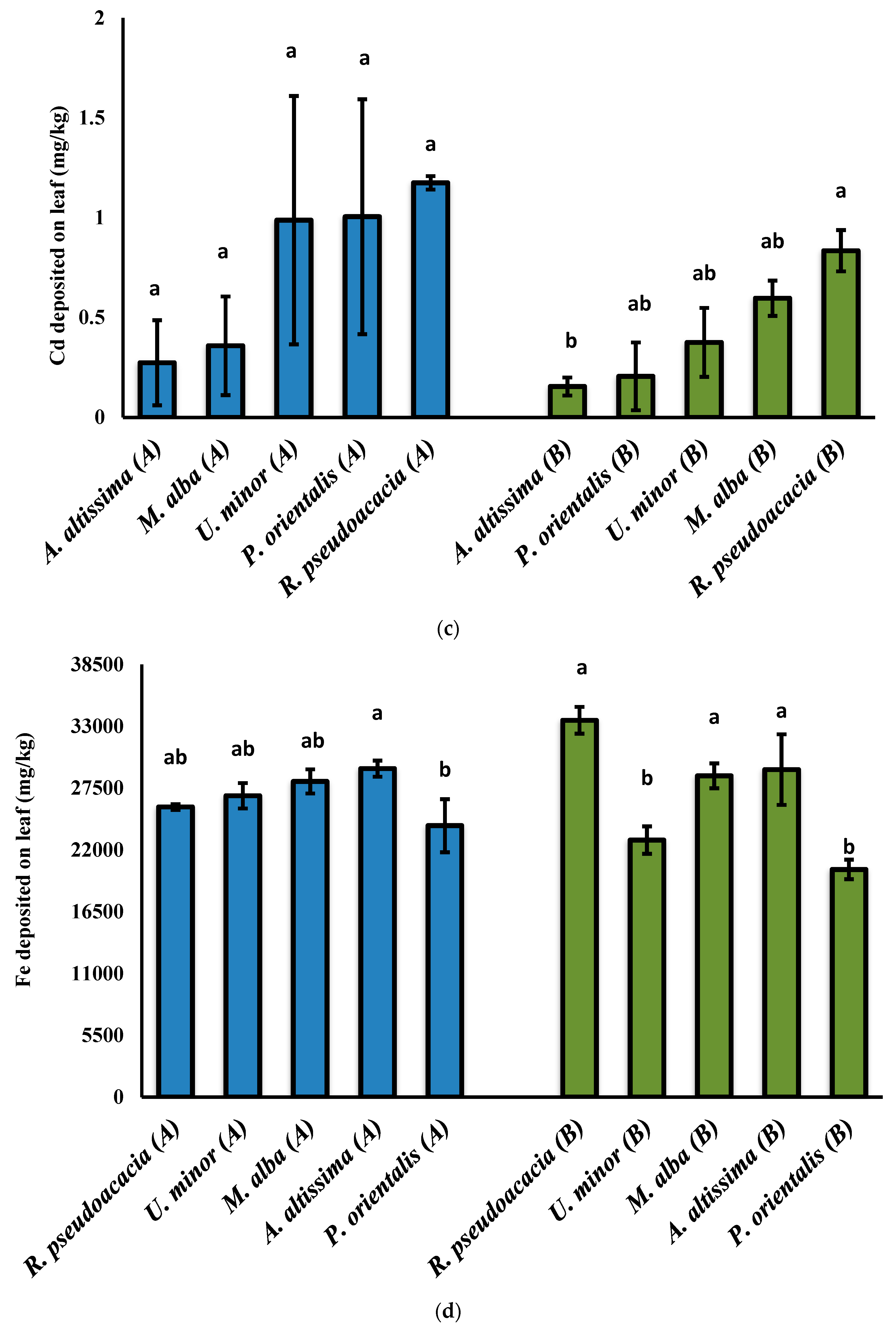Forests 15 00273 g004b Forests 15 00273 g004b