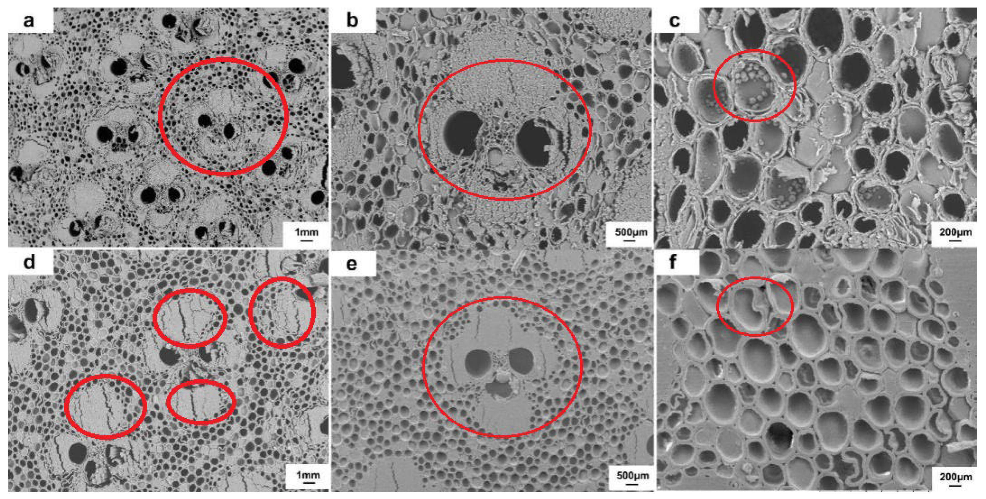 Forests 15 00281 g007