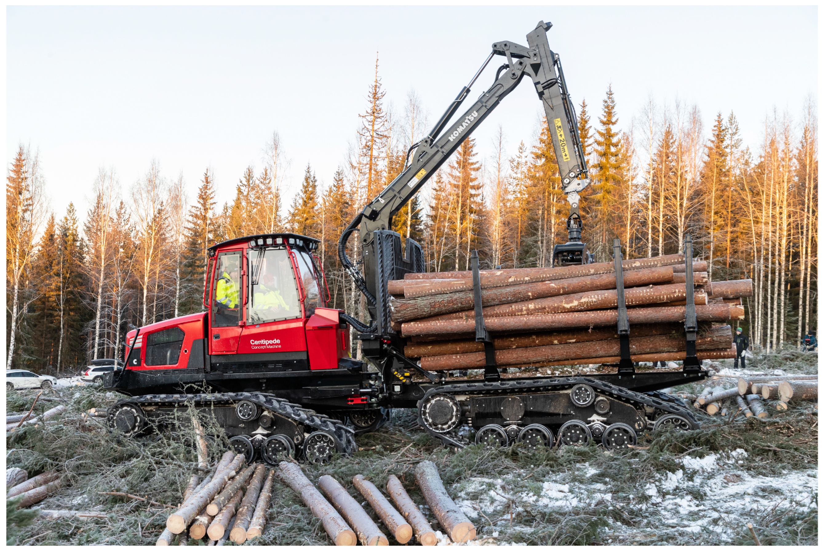 Forests 15 00284 g004