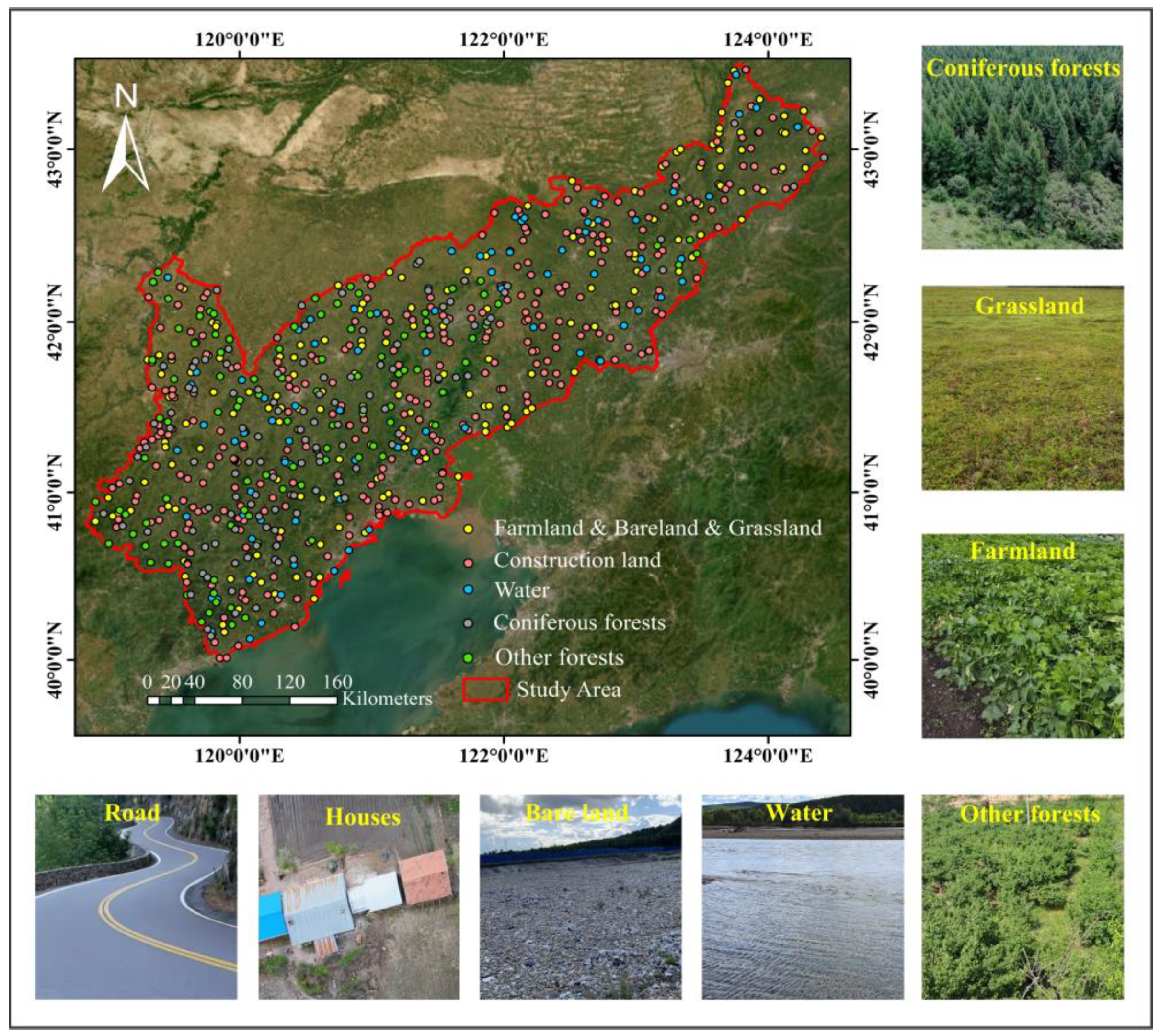 Forests 15 00288 g002