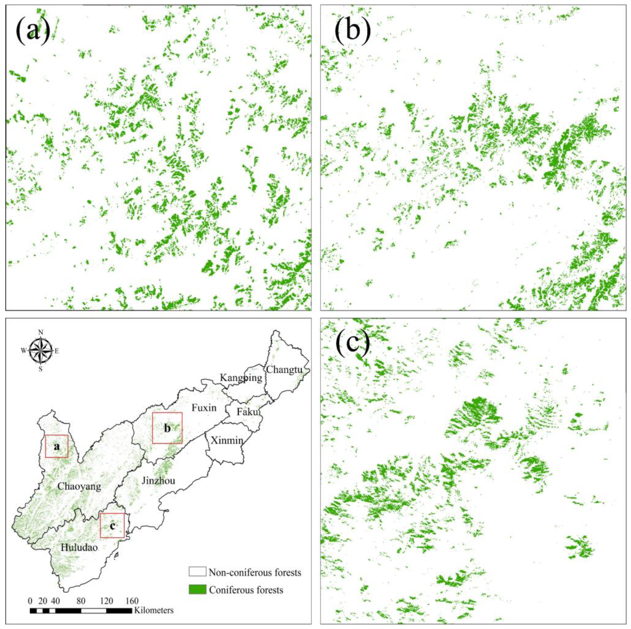 Forests 15 00288 g011