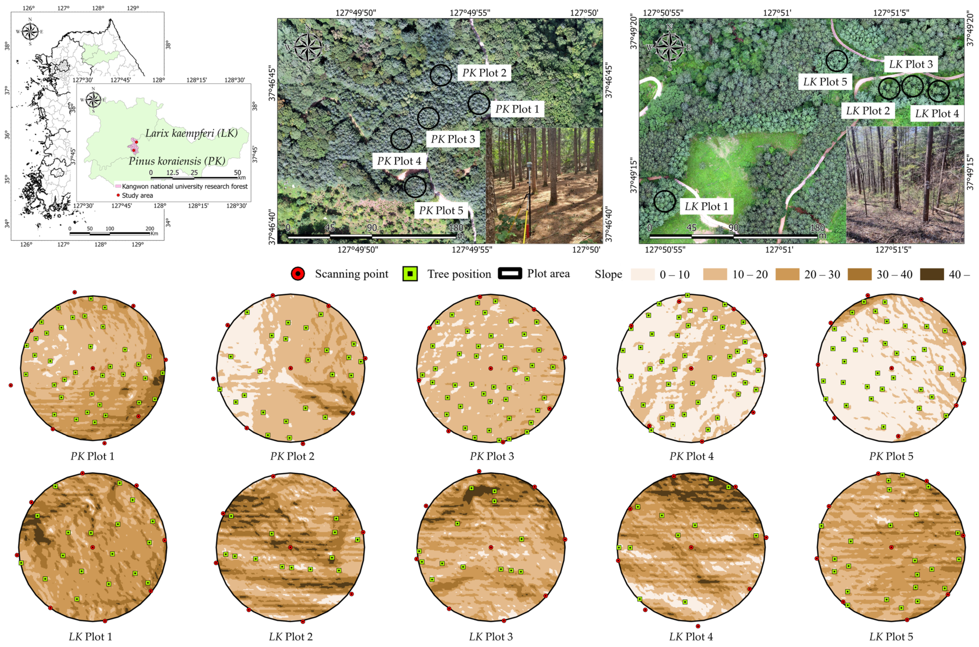 Forests 15 00313 g002
