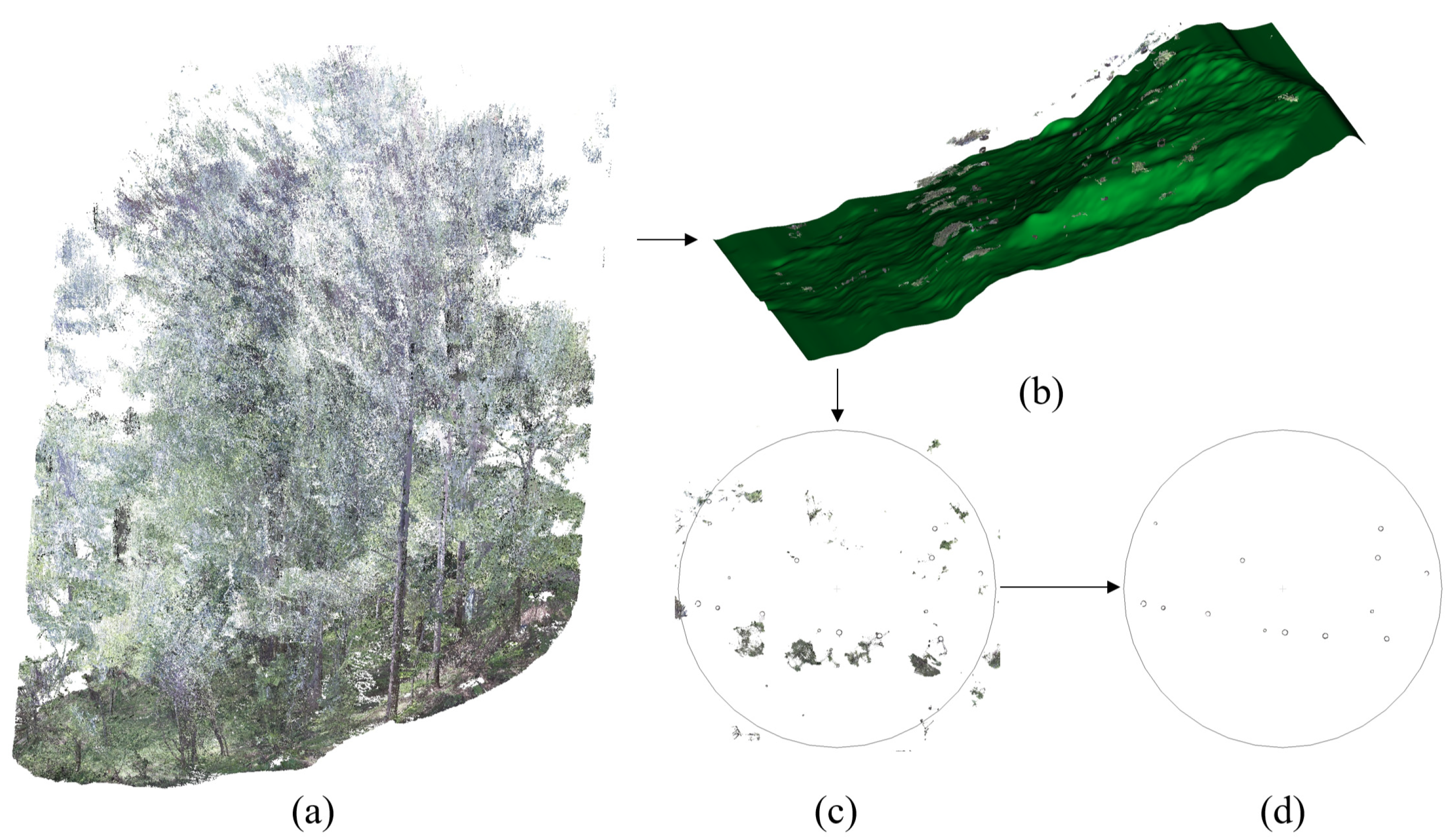 Forests 15 00313 g004