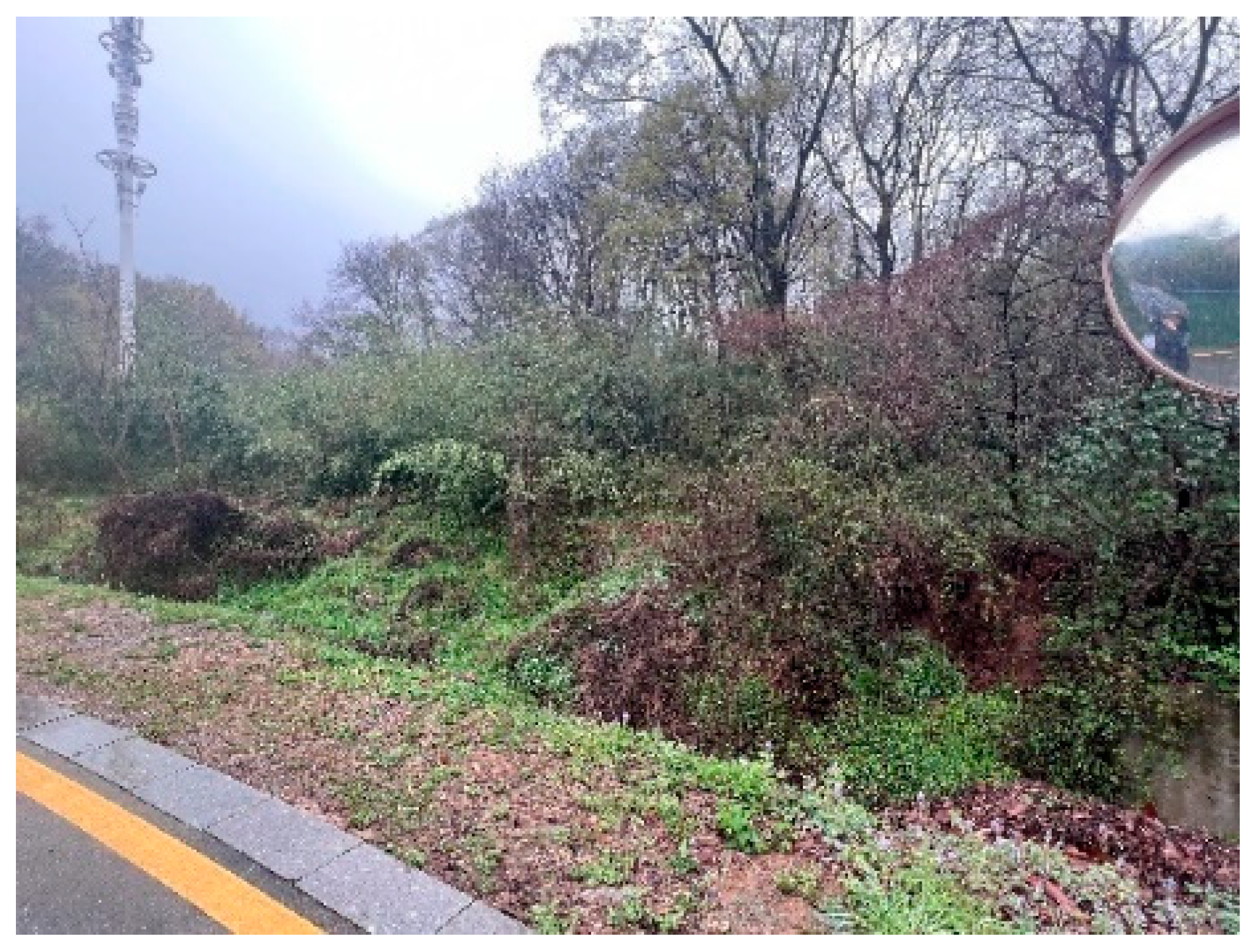 Forests 15 00315 g010